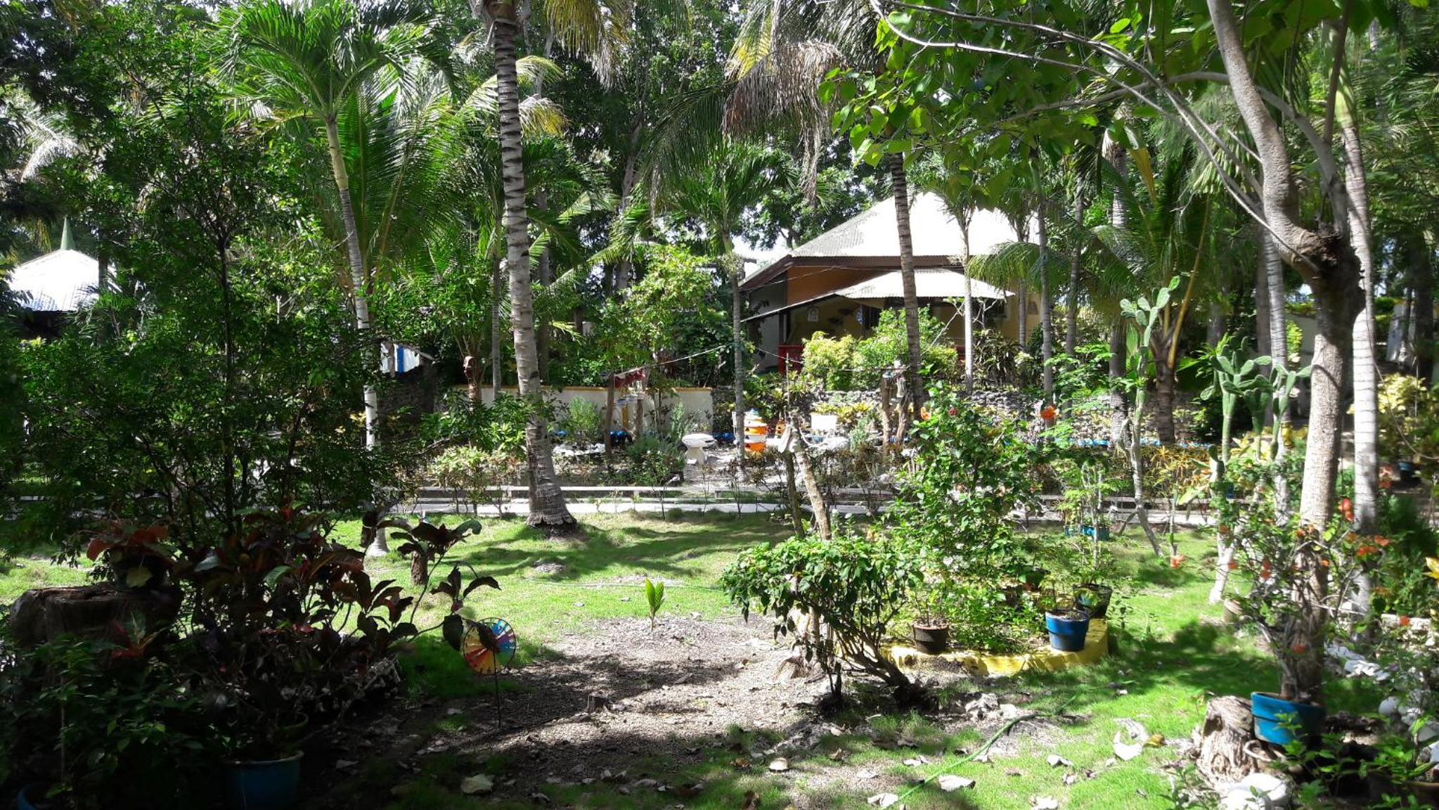 Photo 28