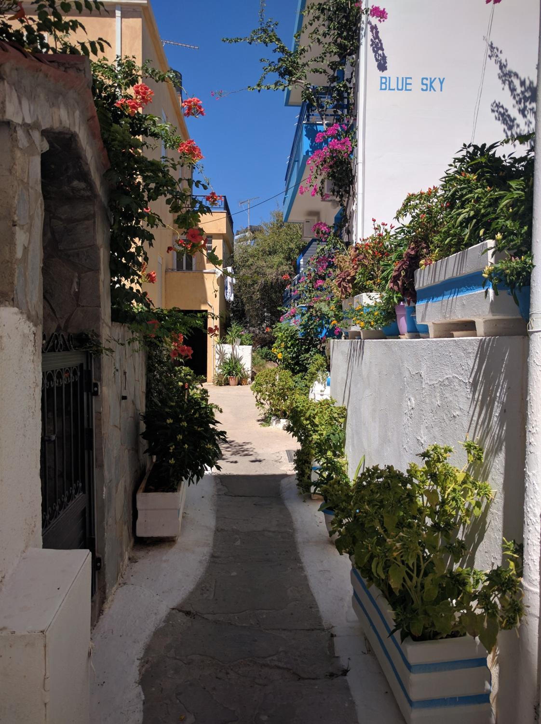 Blue Sky view 3