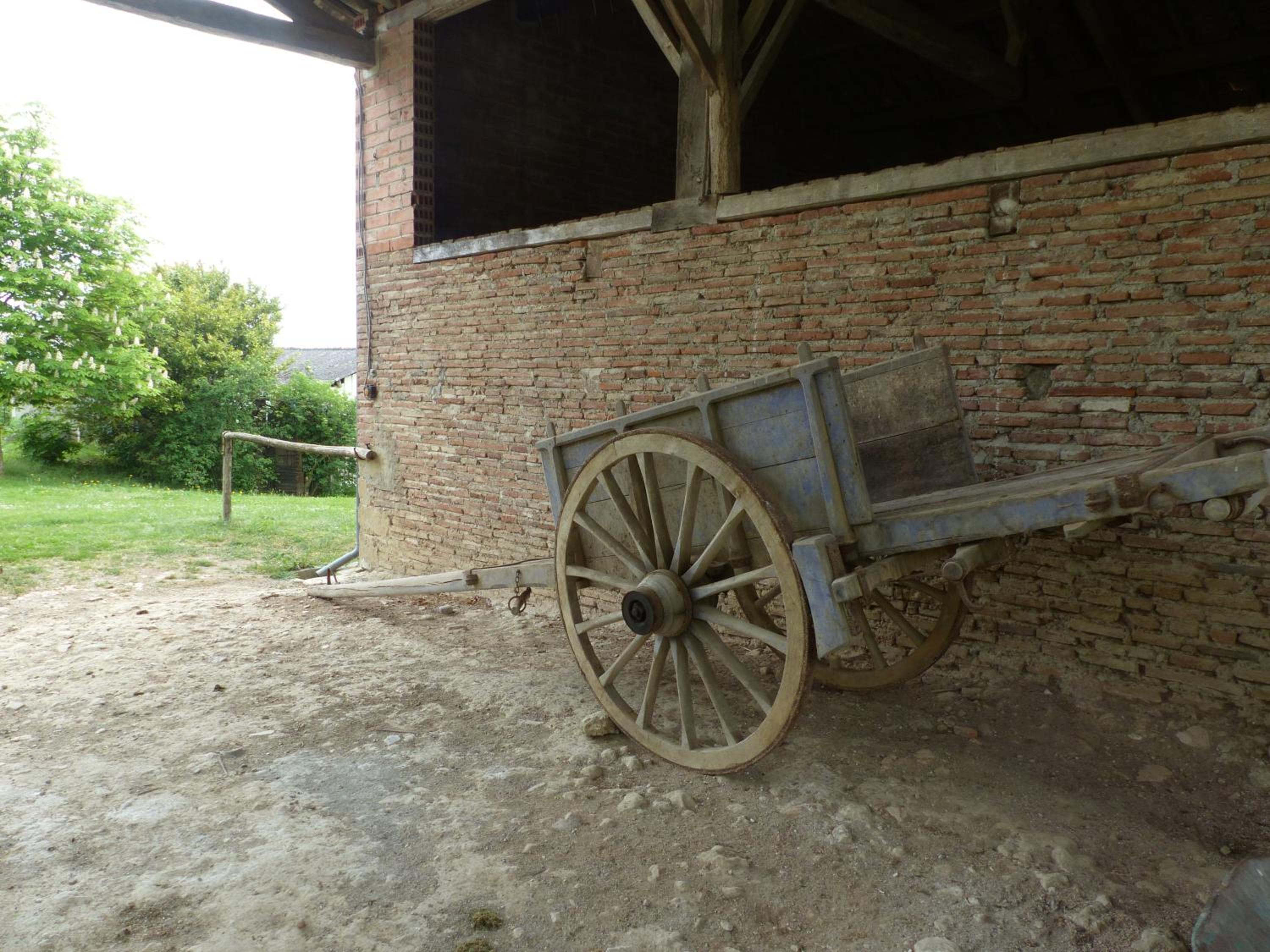 Photo 17