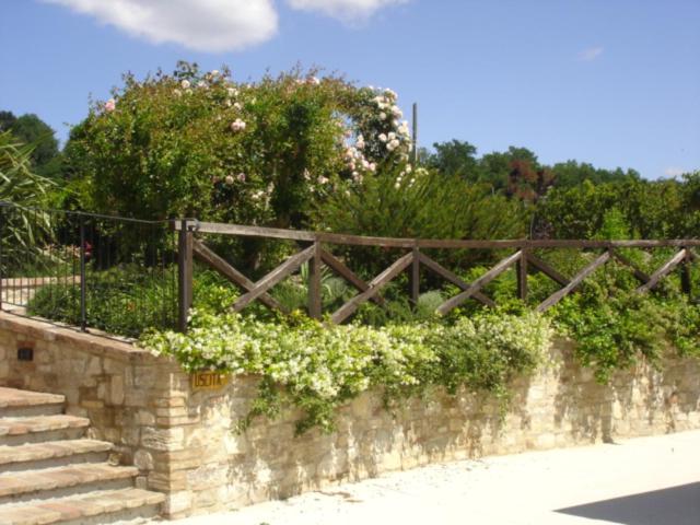 Photo 40