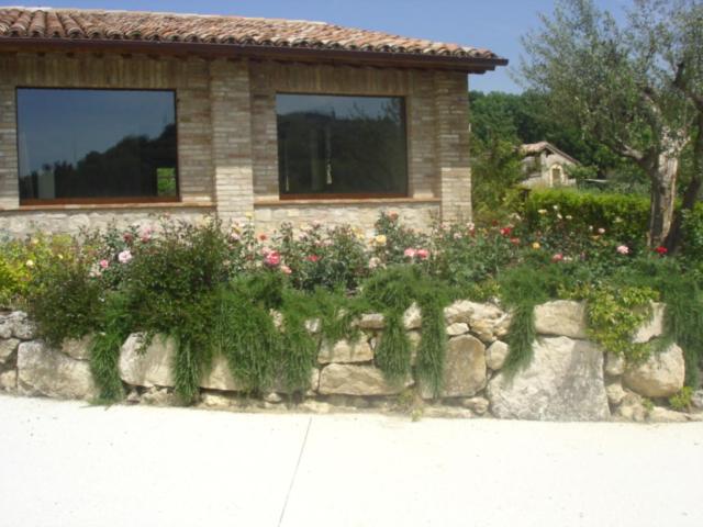 Photo 46