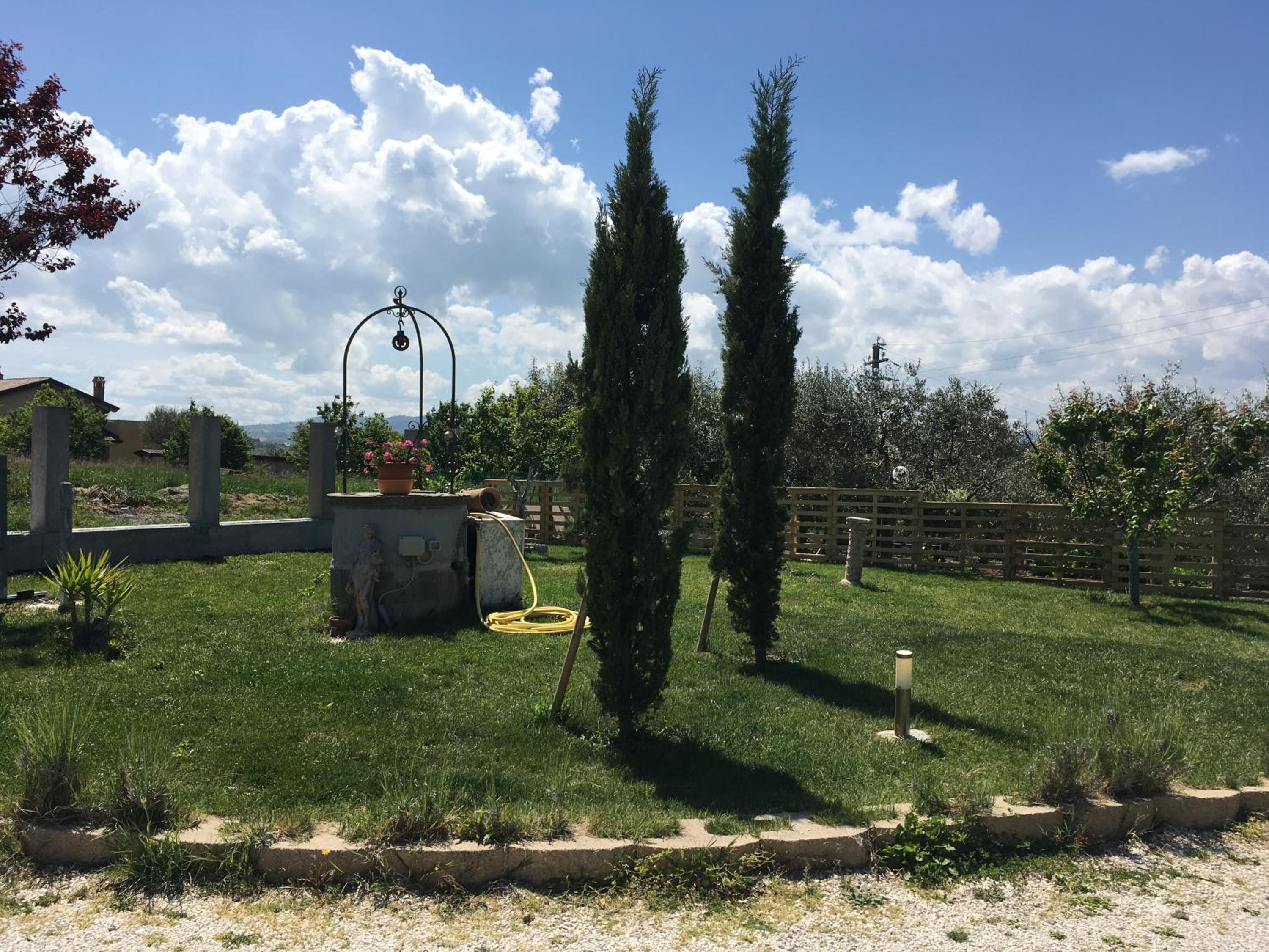 Photo 17