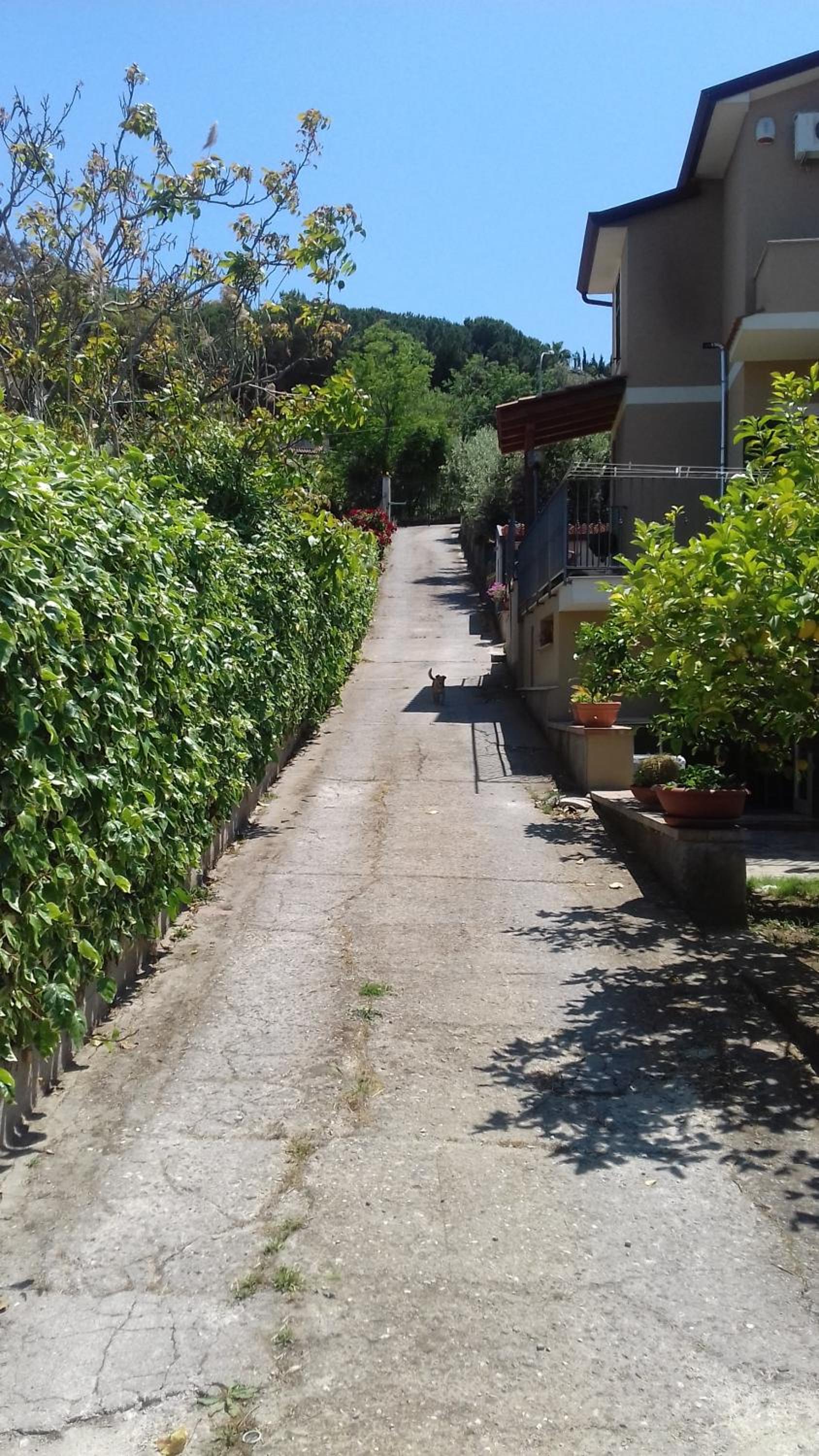 Villa Carol