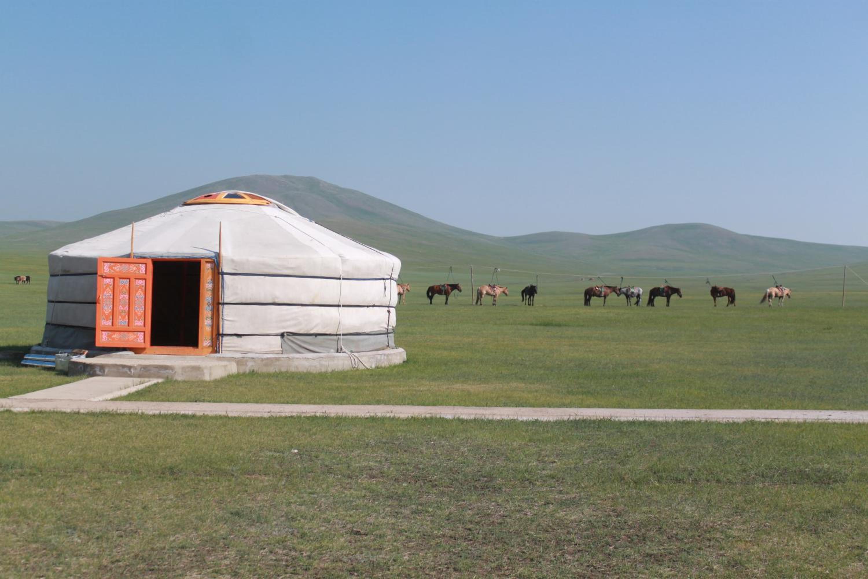 Nomad Horse Camp
