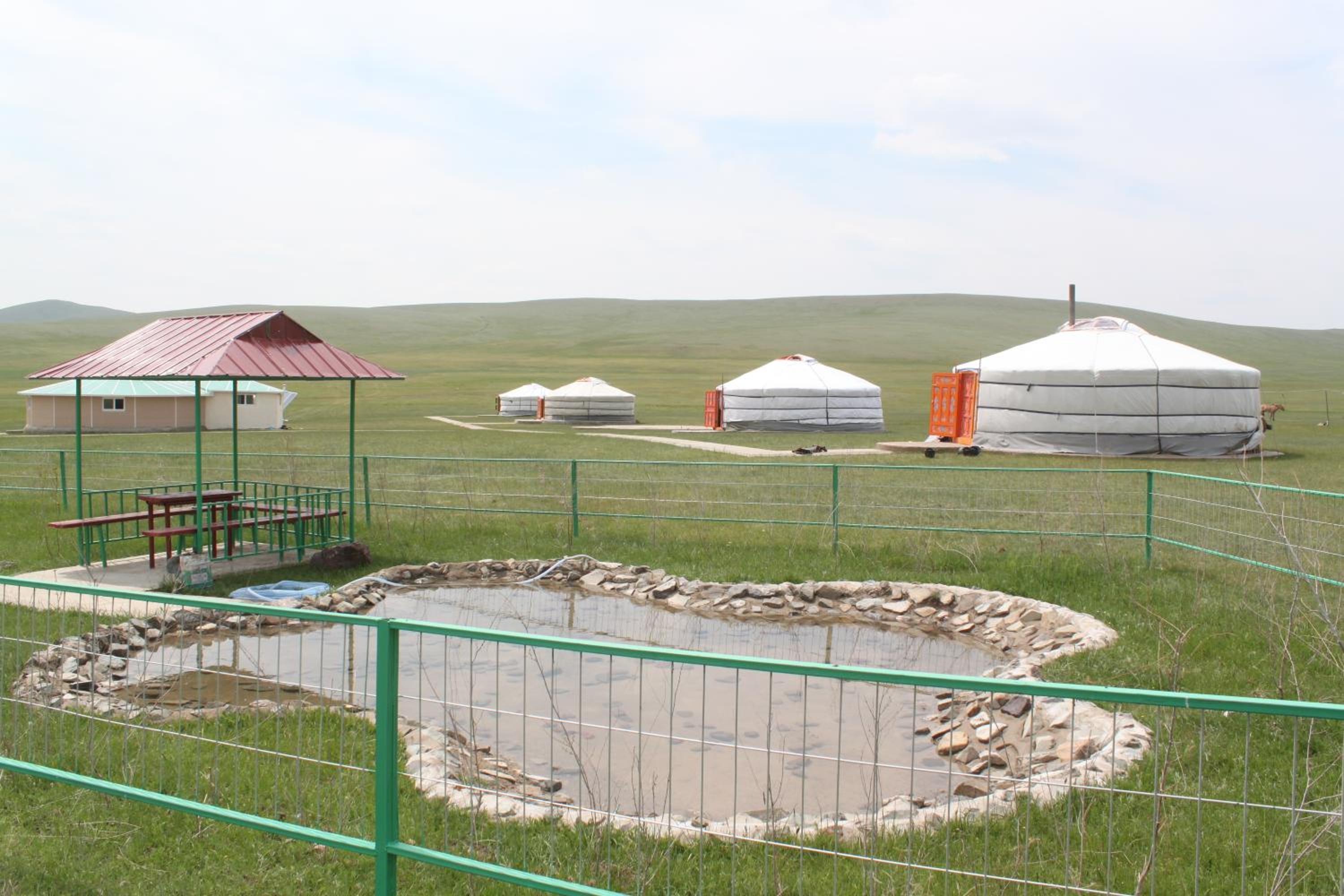 Nomad Horse Camp