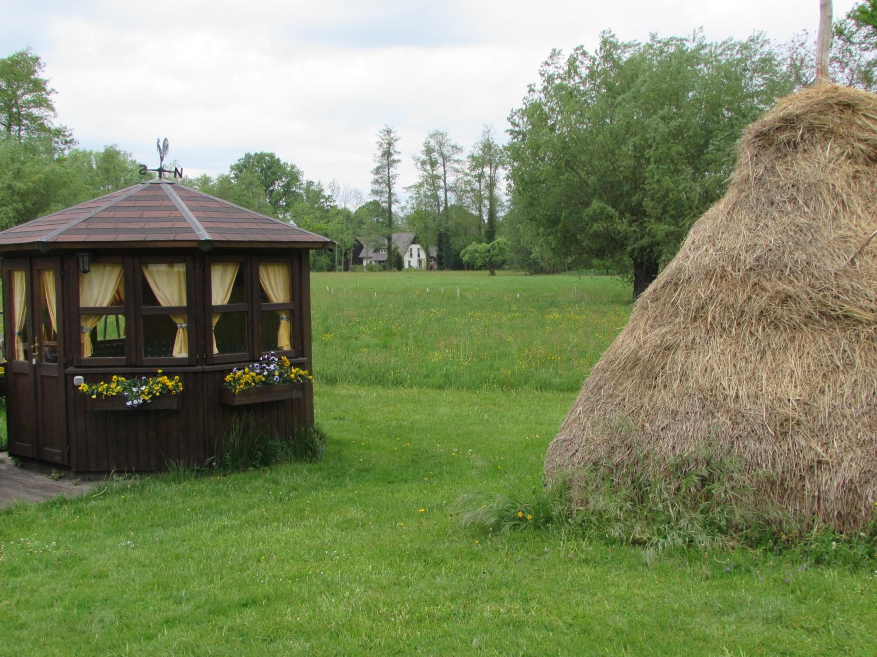 Photo 44