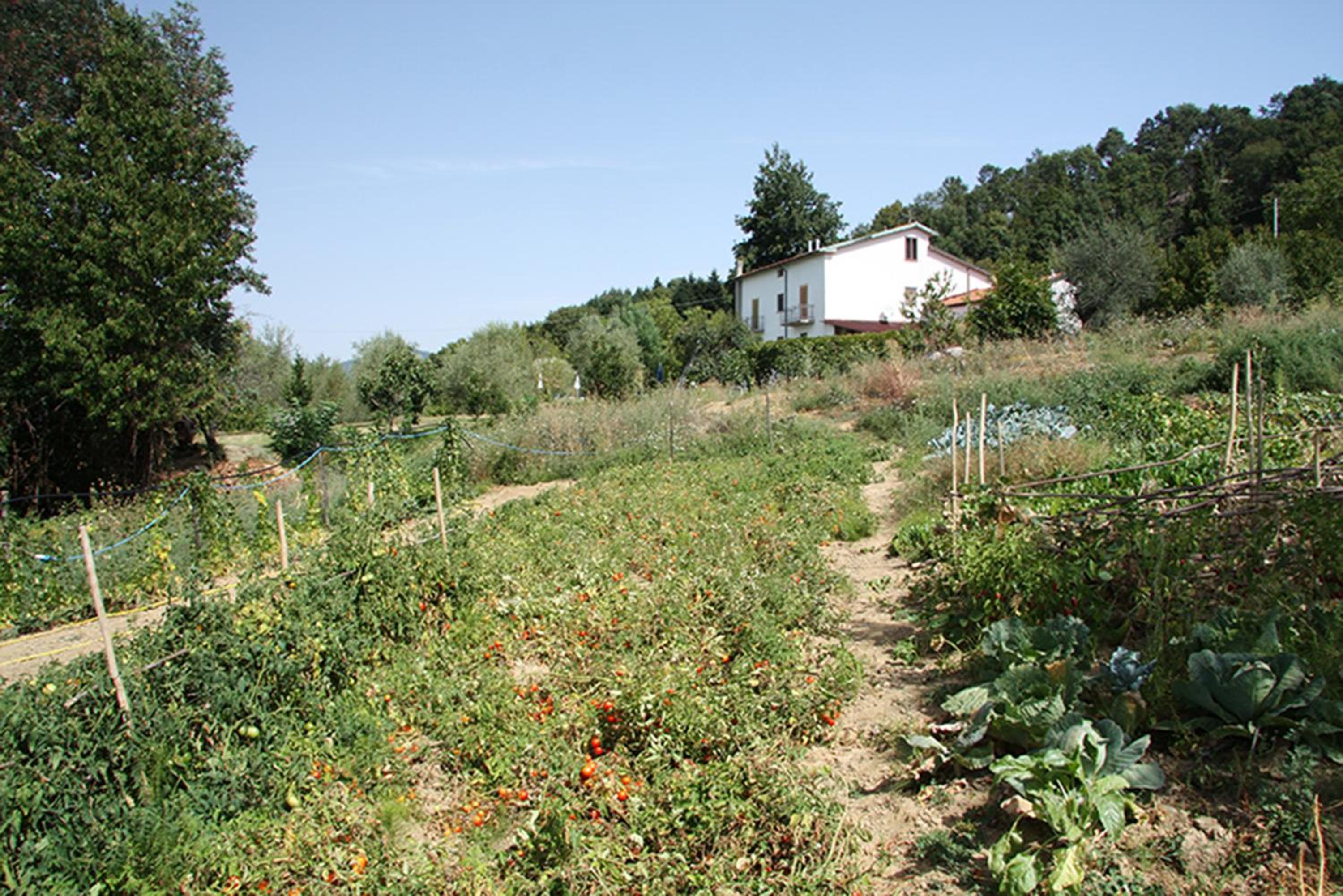 Photo 31