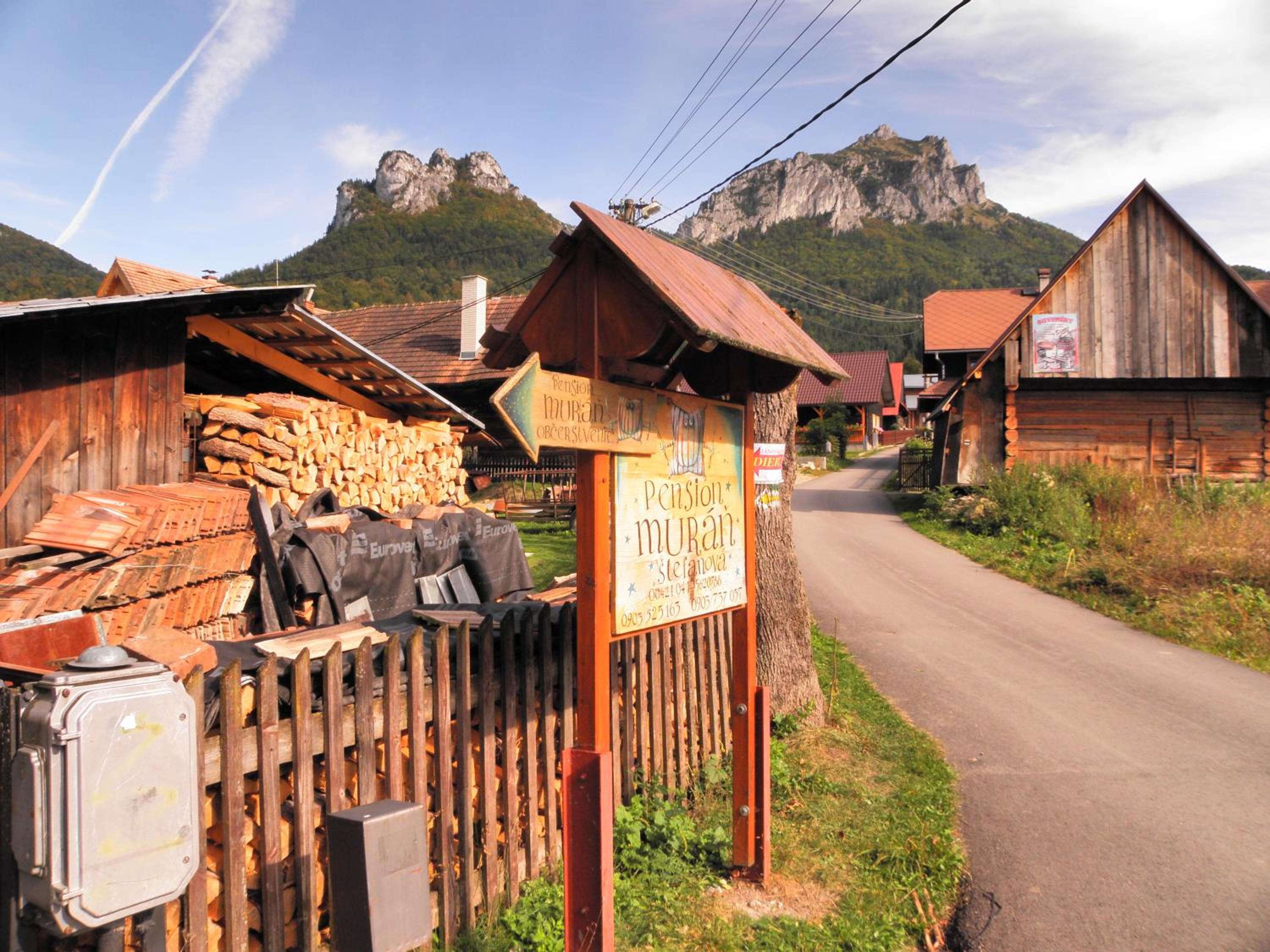 Photo 41