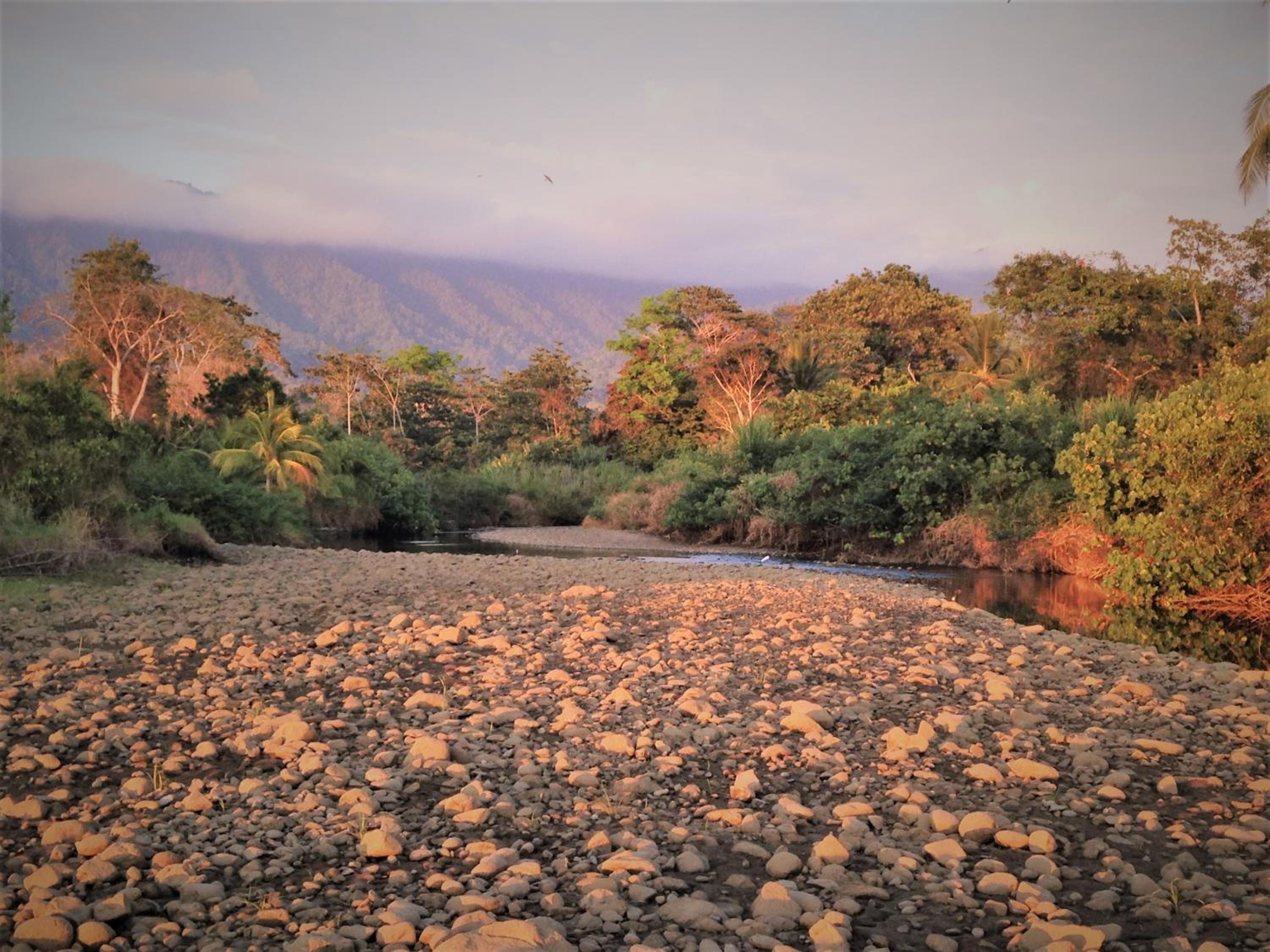 Las Brisas del Sur