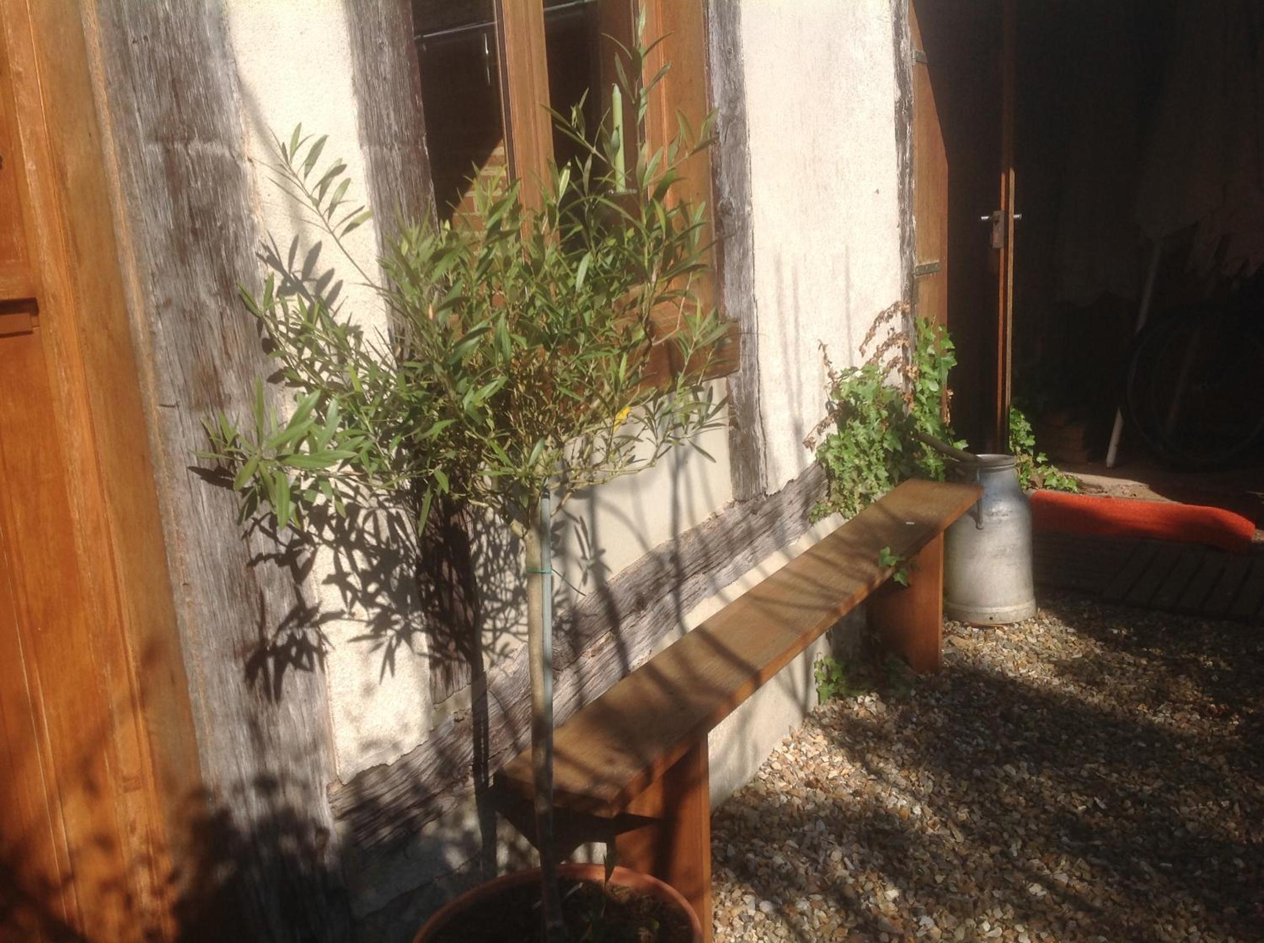 Photo 32