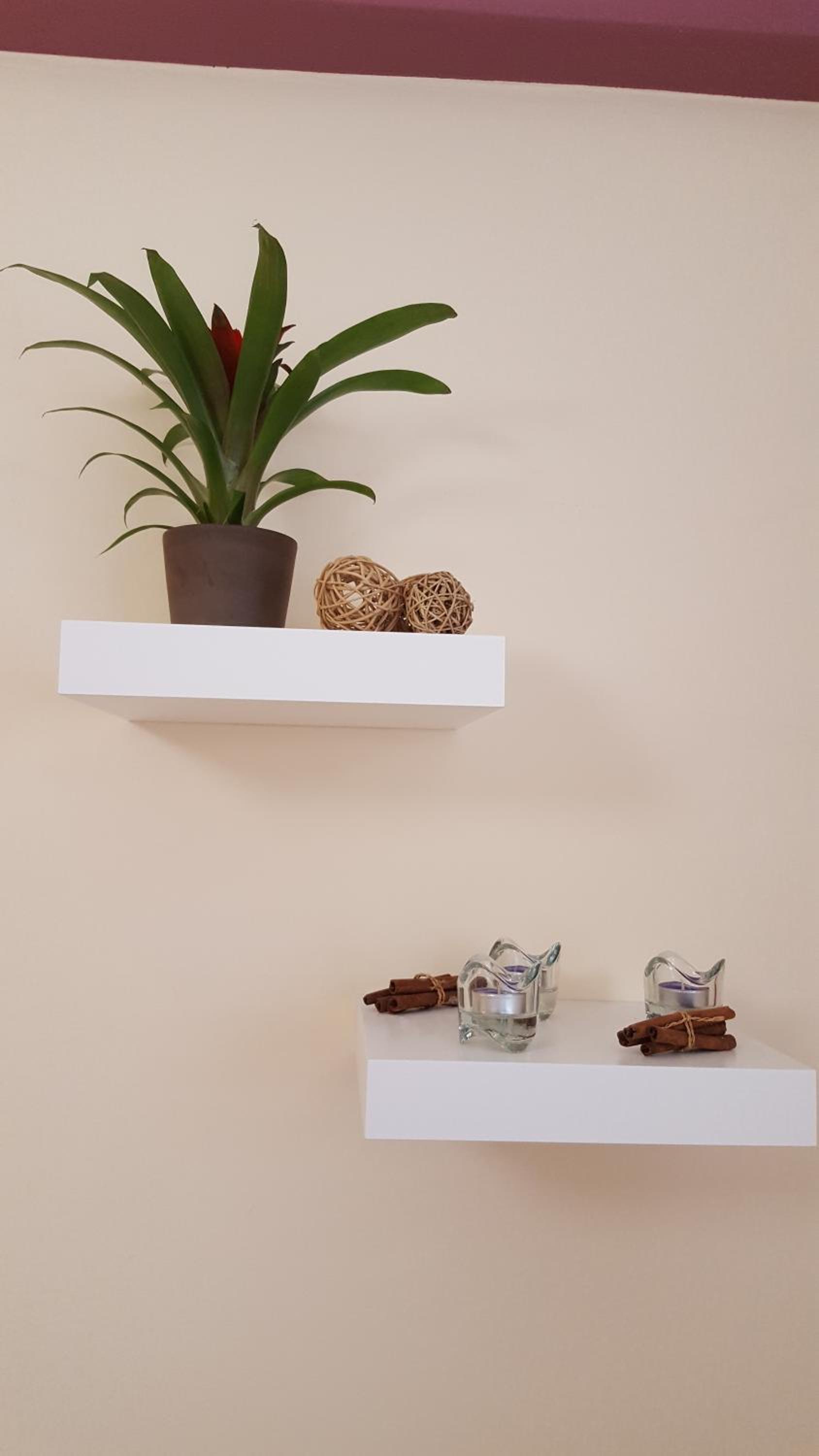 Zoe's Studio