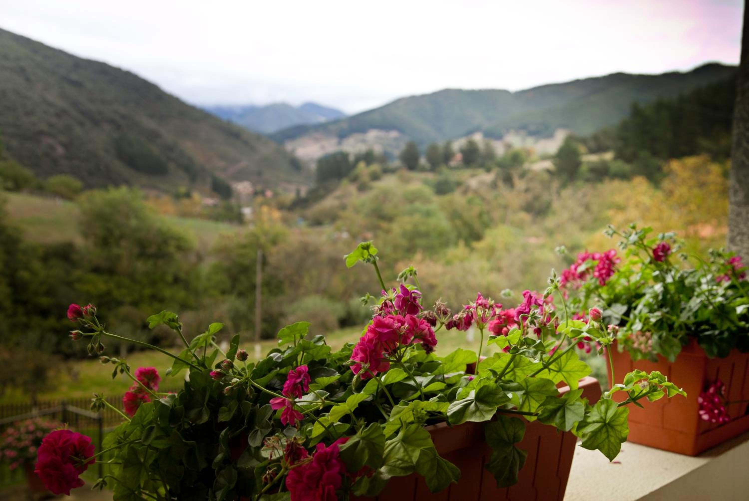Viviendas Rurales Traldega
