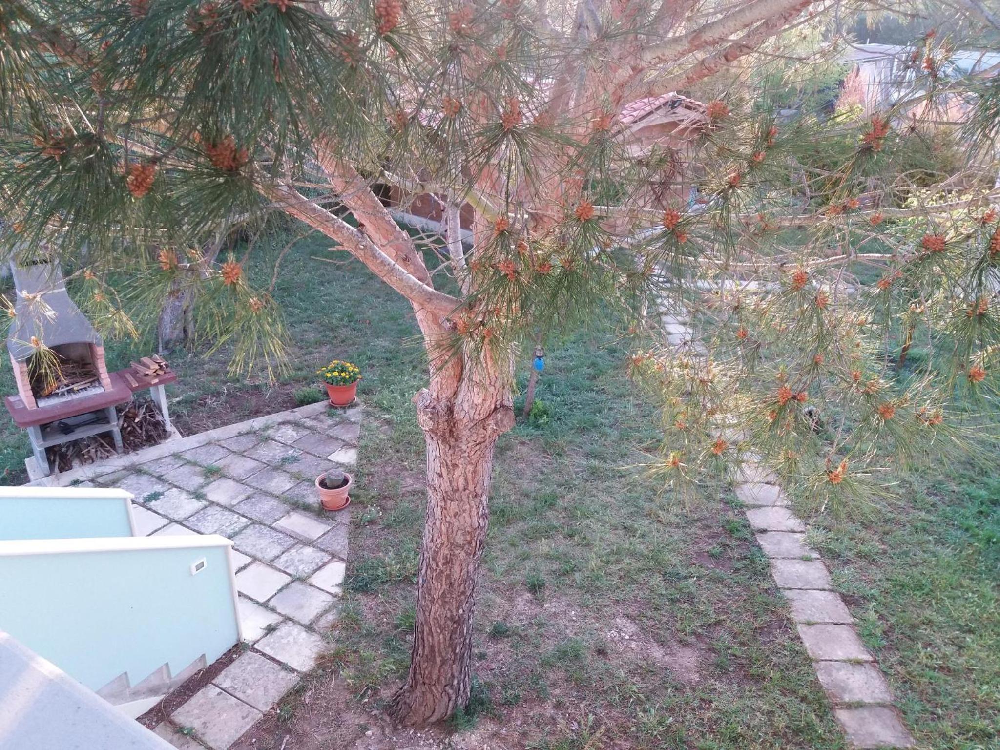 Photo 48