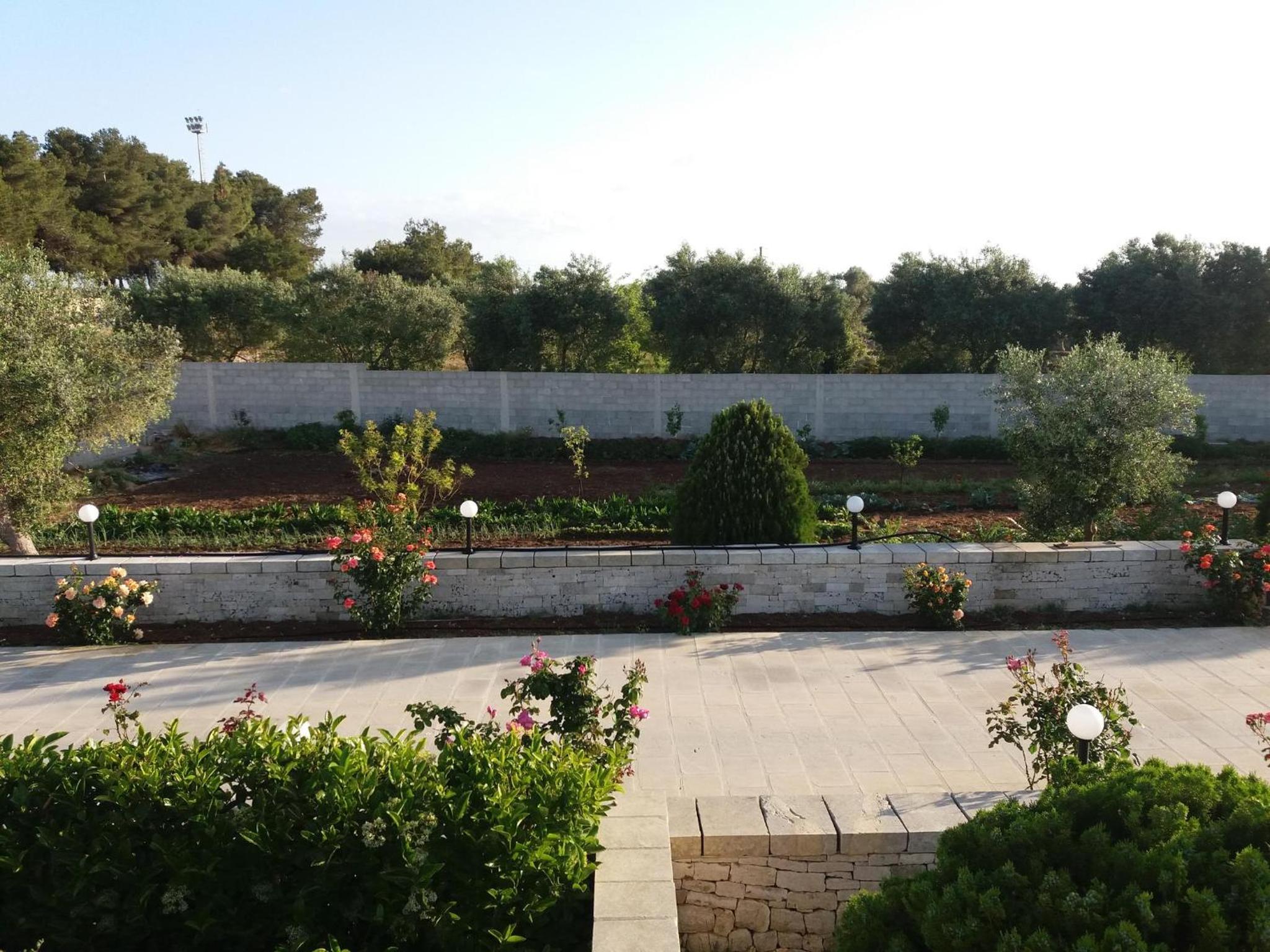 Photo 47