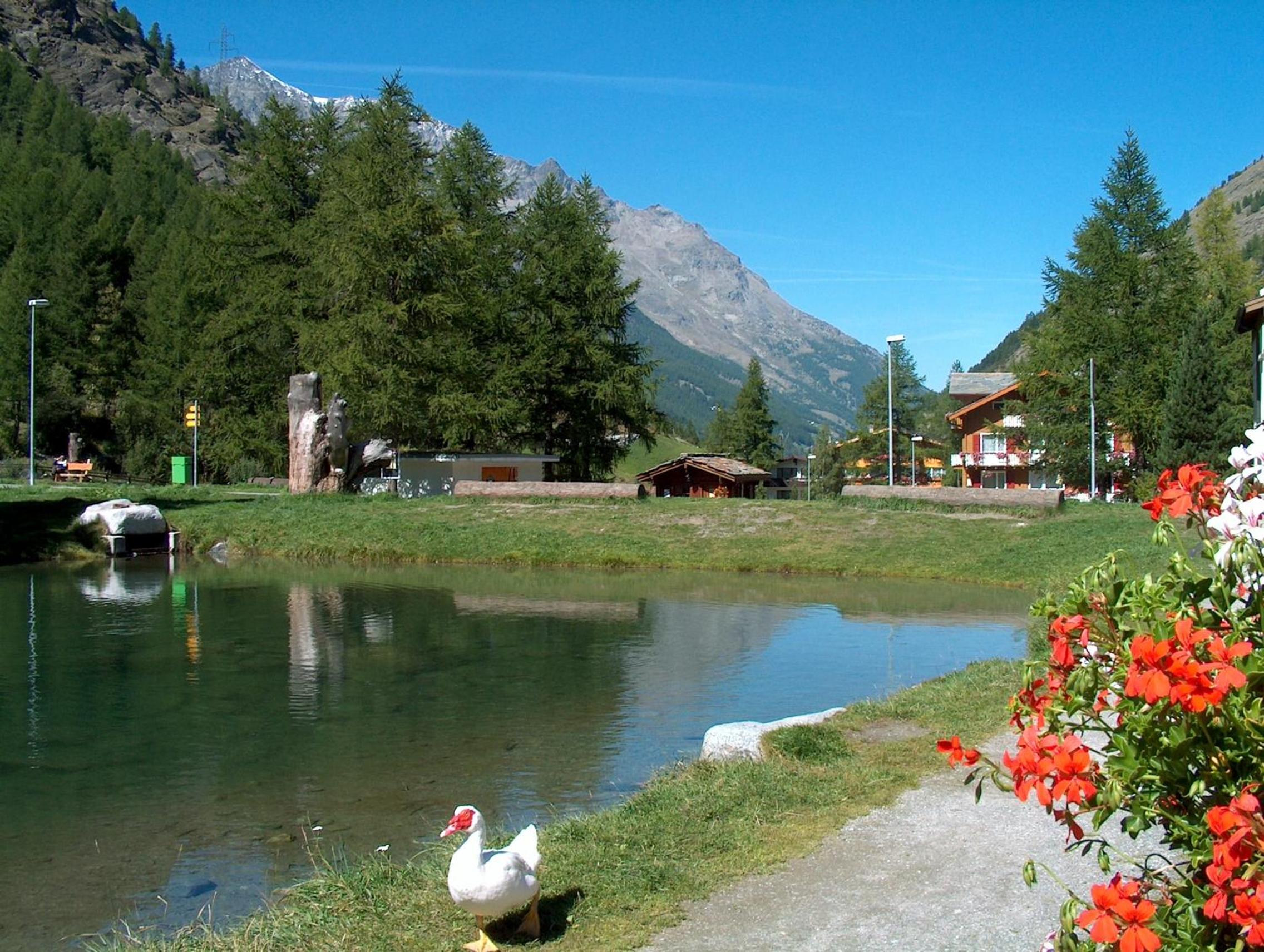 Photo 15