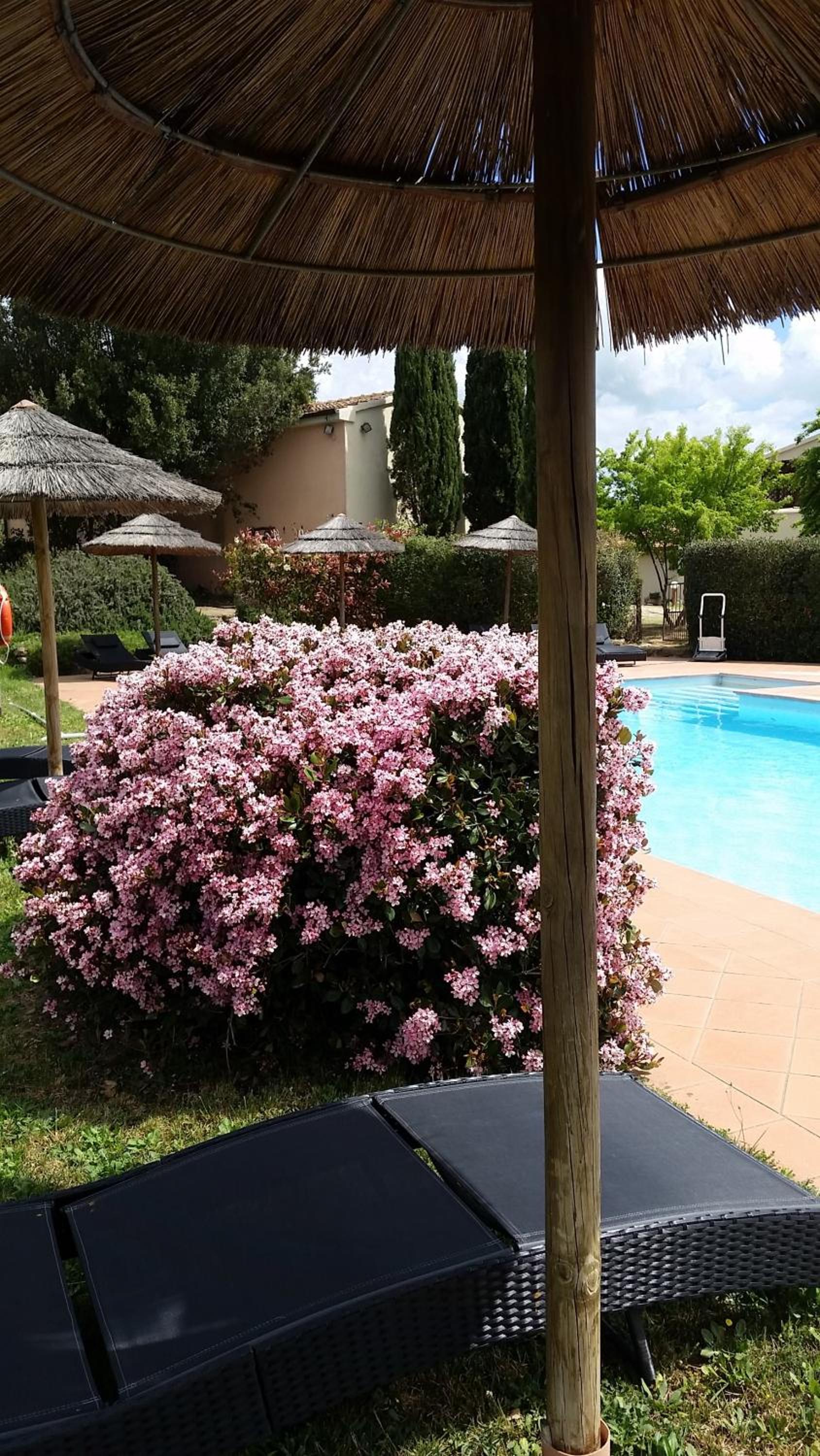 Agriturismo Bonzalone