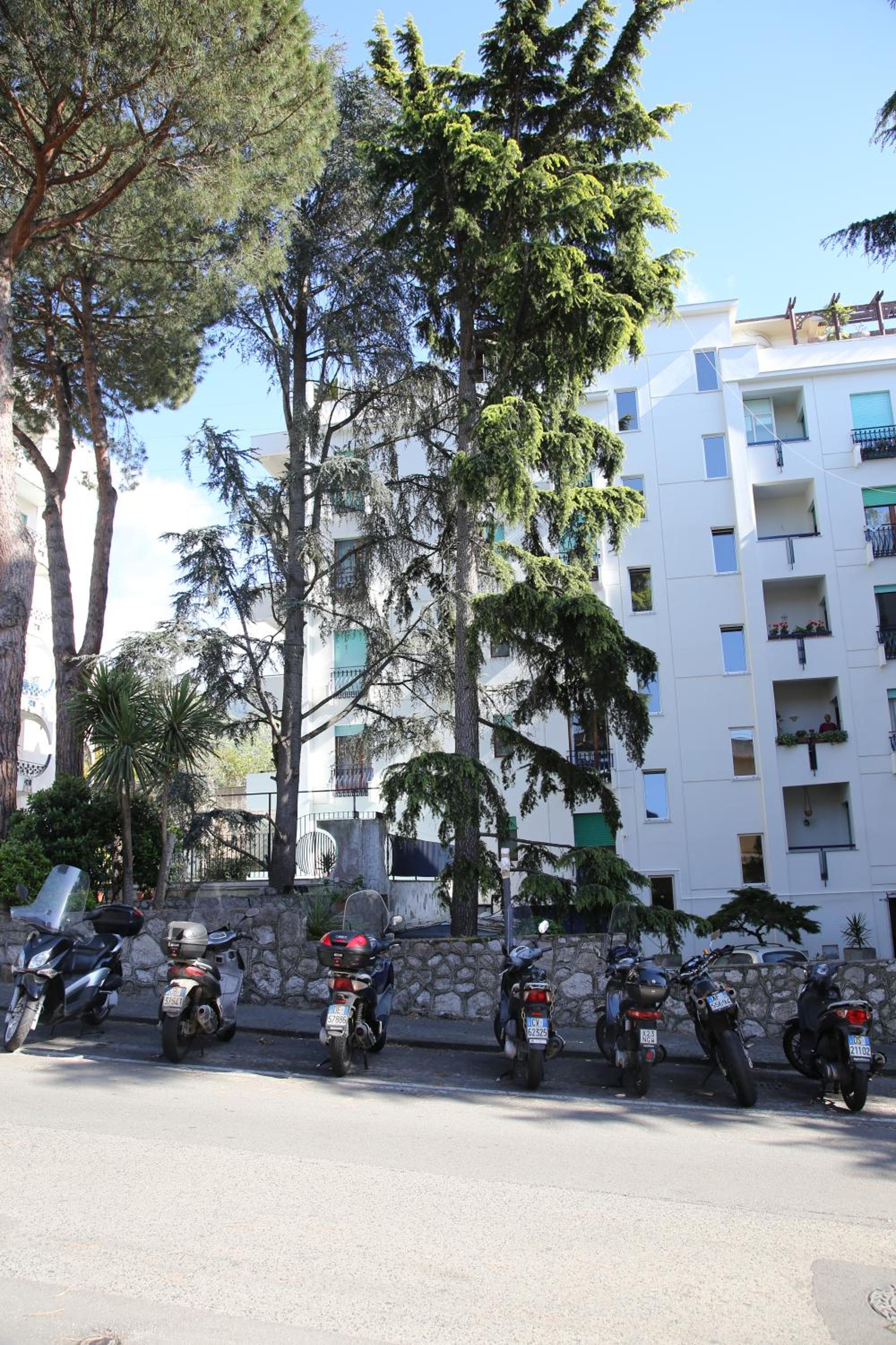 Sorrento Coast Suites B&B, photo 2
