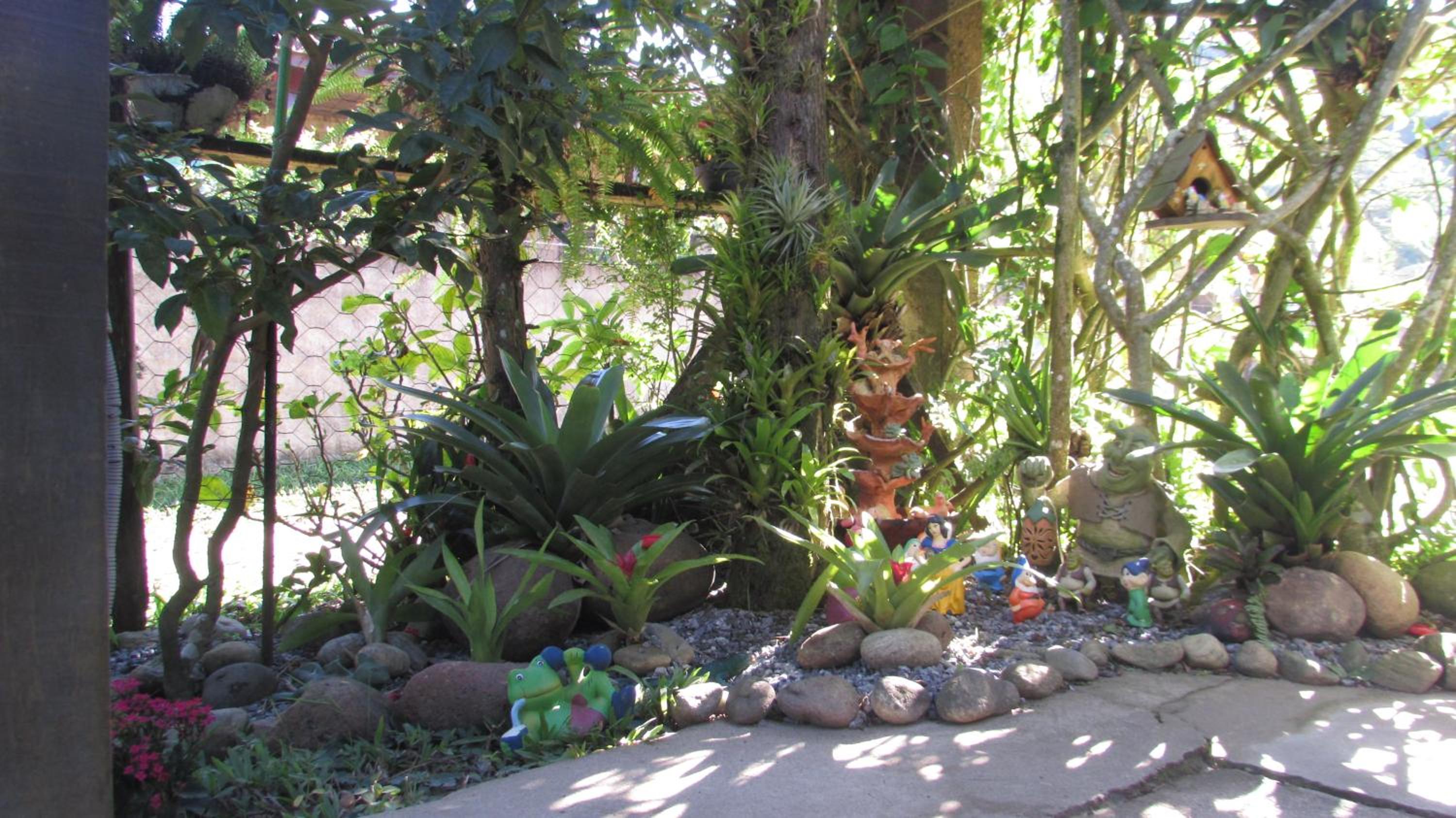 Photo 21