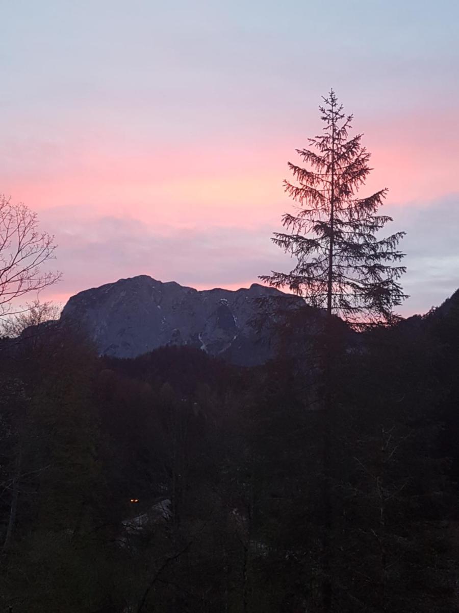 Nina´s Appartement Bad Mitterndorf