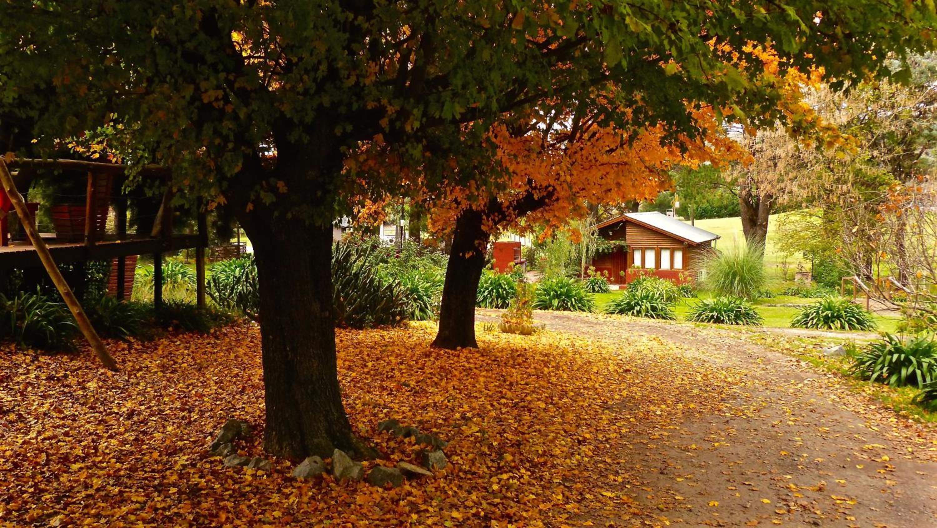 Posada del Viento