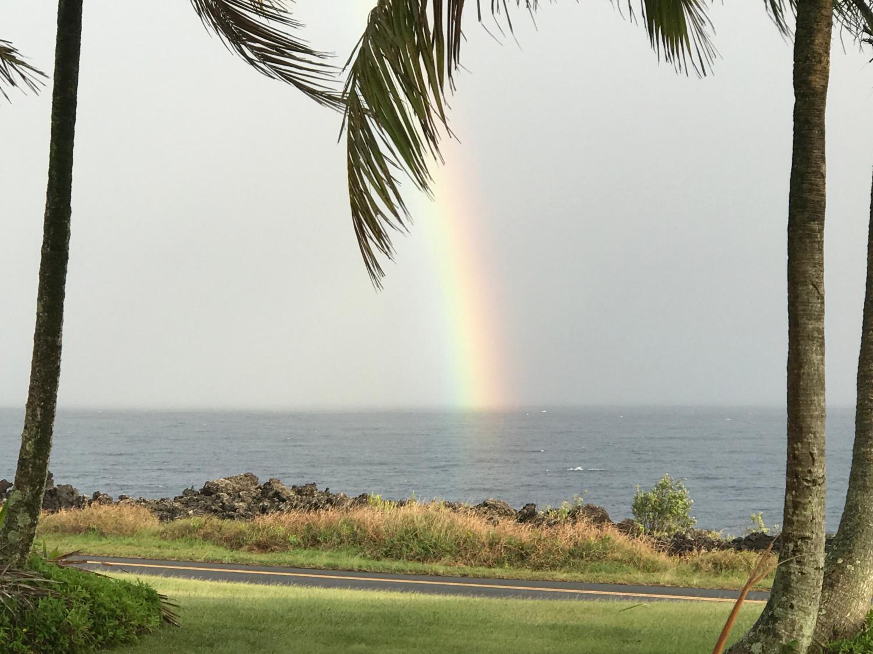 Nice Studio w/ AC near Kehena Beach and lava fields view 2