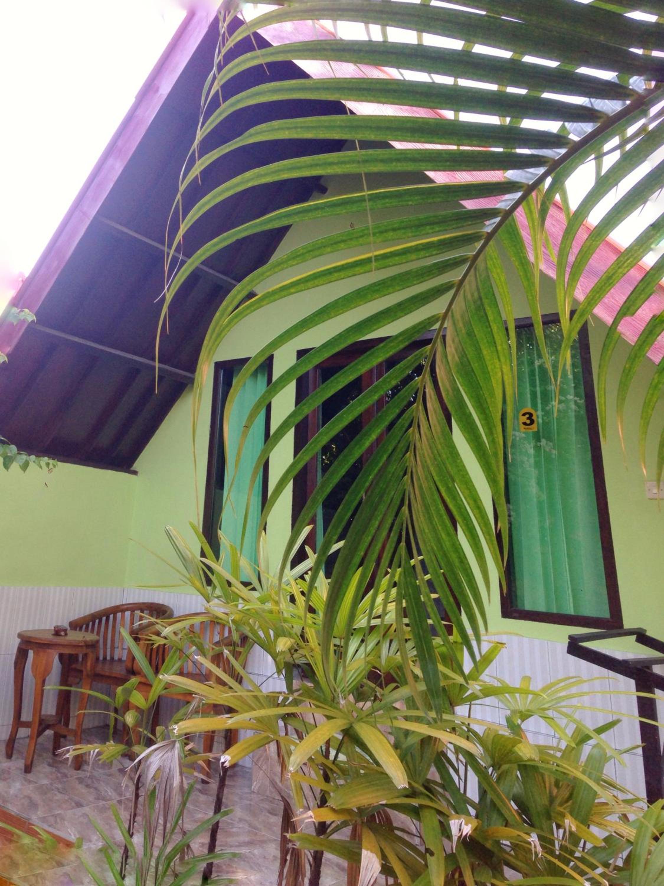 Photo 43