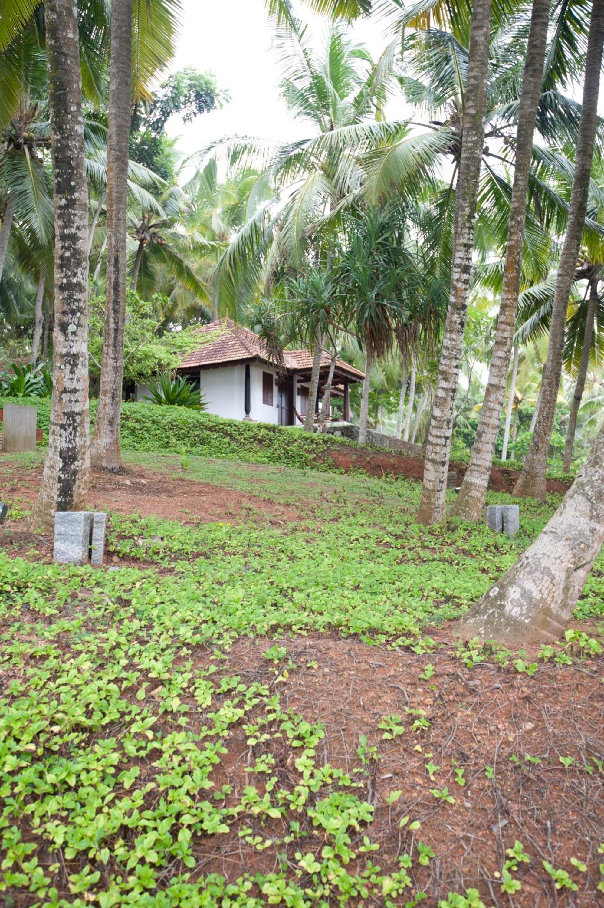 Niraamaya Wellness Retreats, Surya Samudra, Kovalam