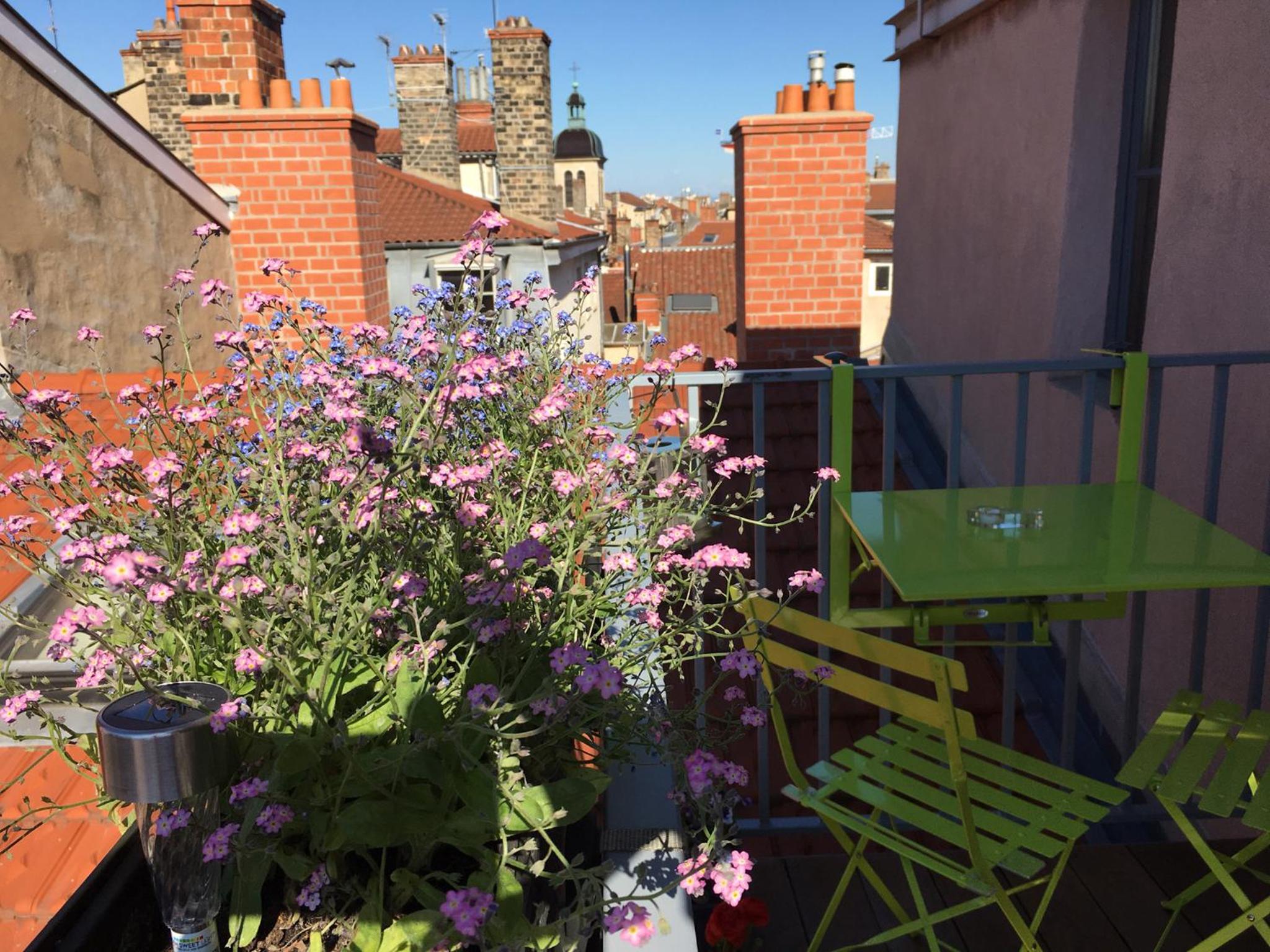 Les Toits de Lyon view 5