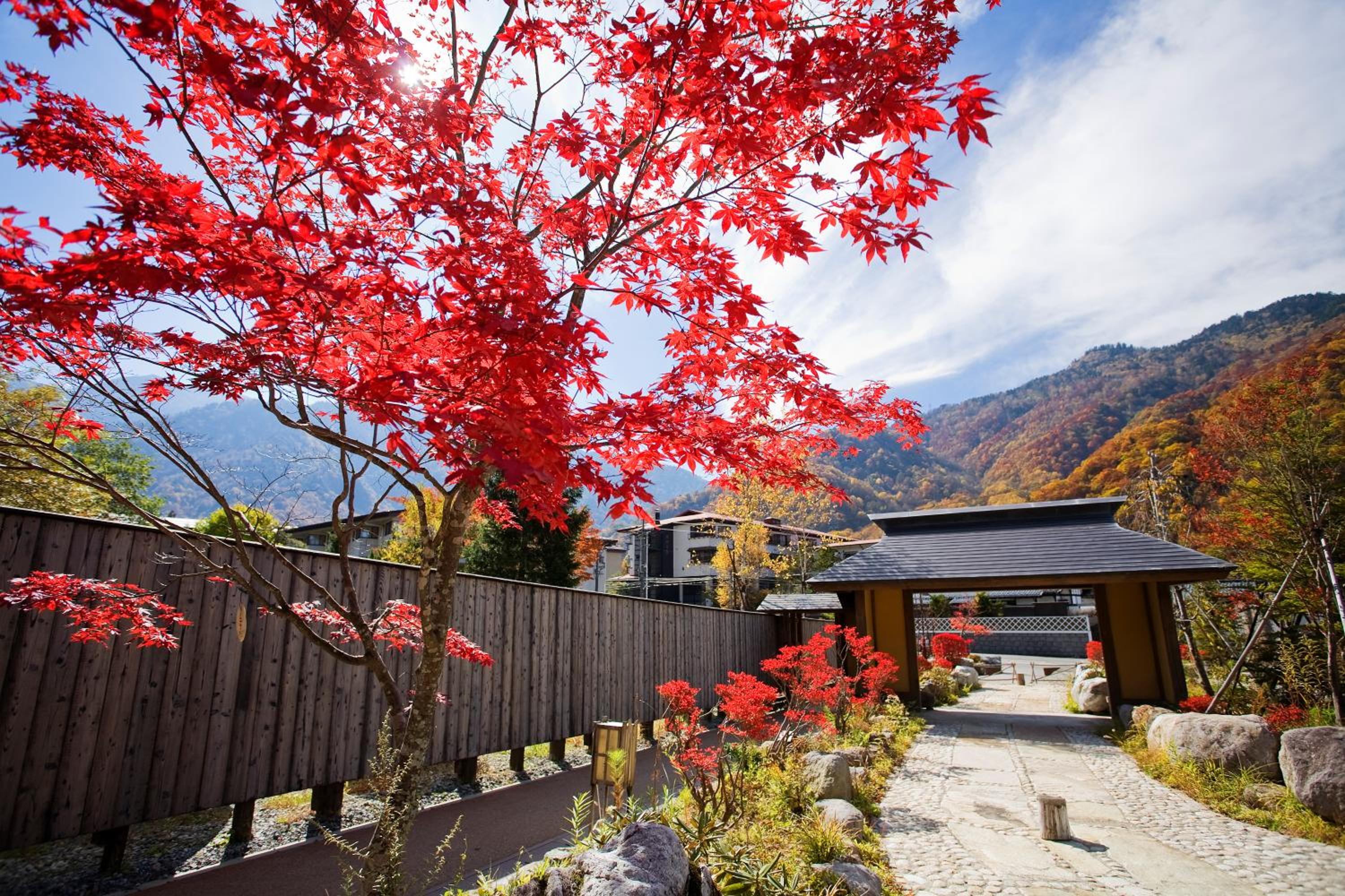 Miyama Ouan, 사진 11