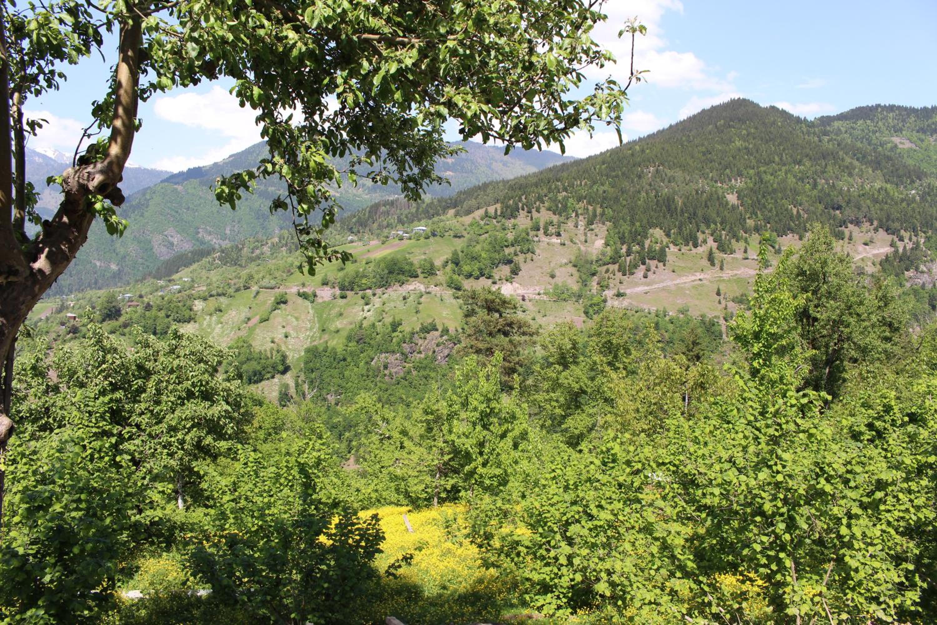 Photo 44