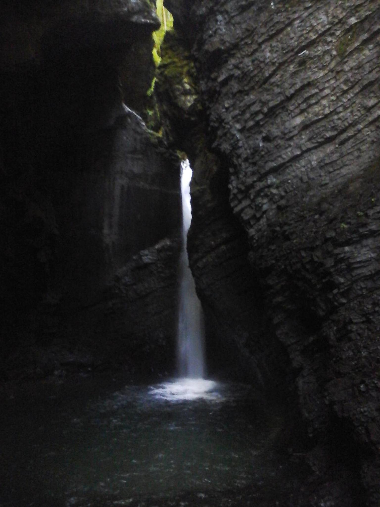 Photo 42