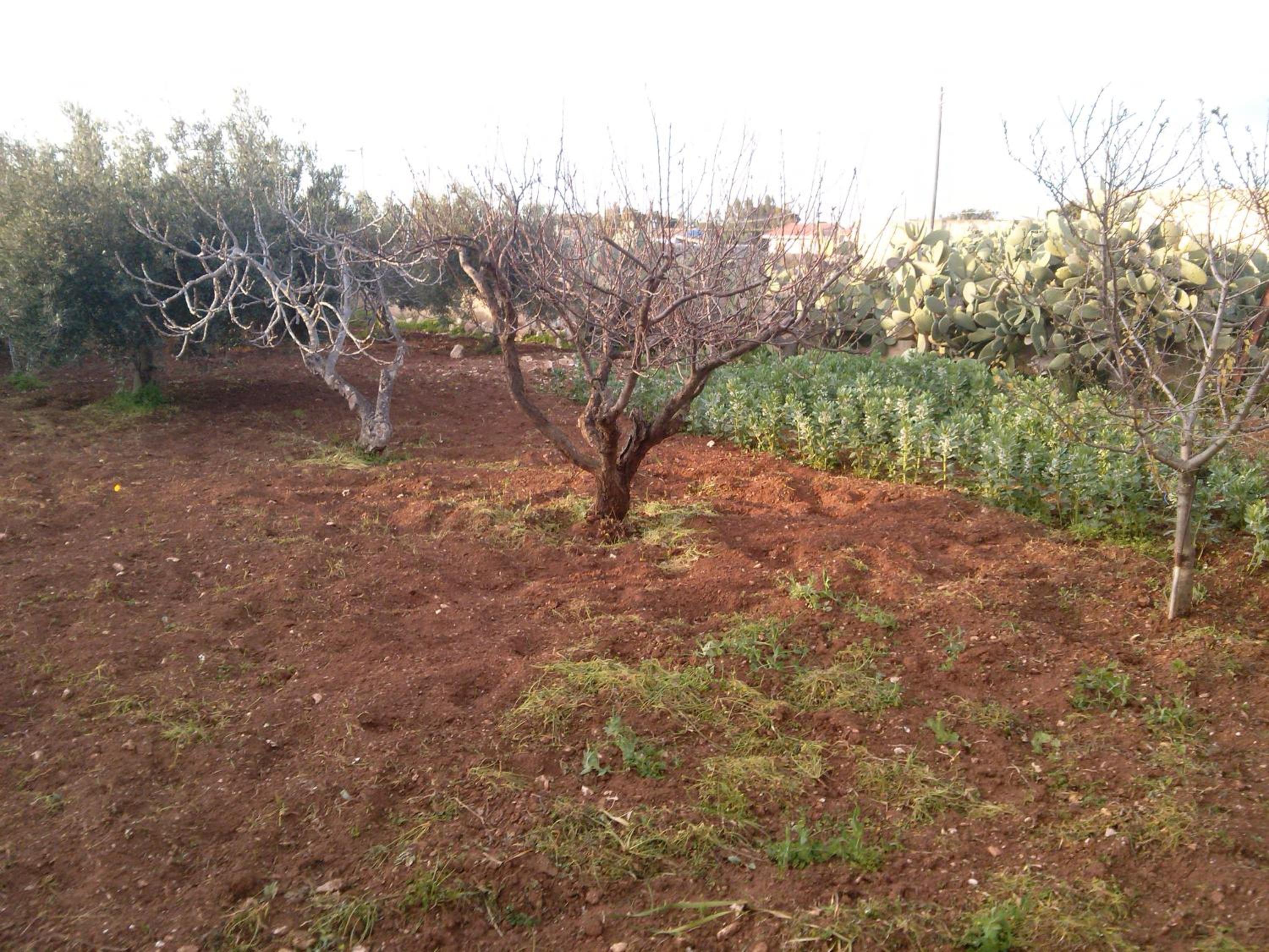 Photo 31