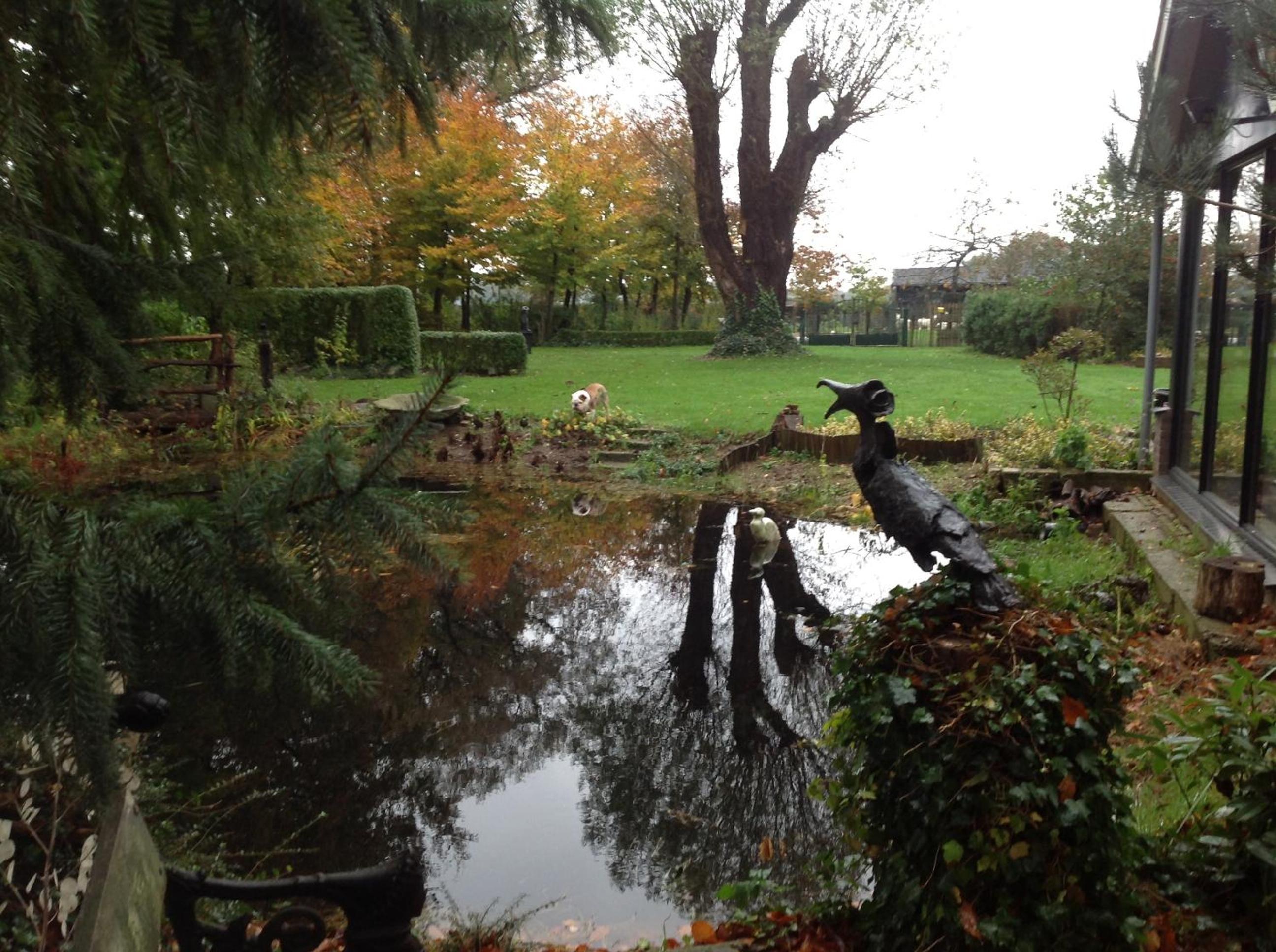 Photo 22