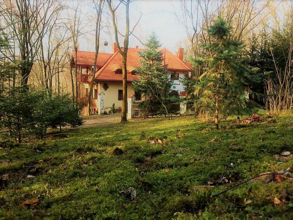 Photo 46