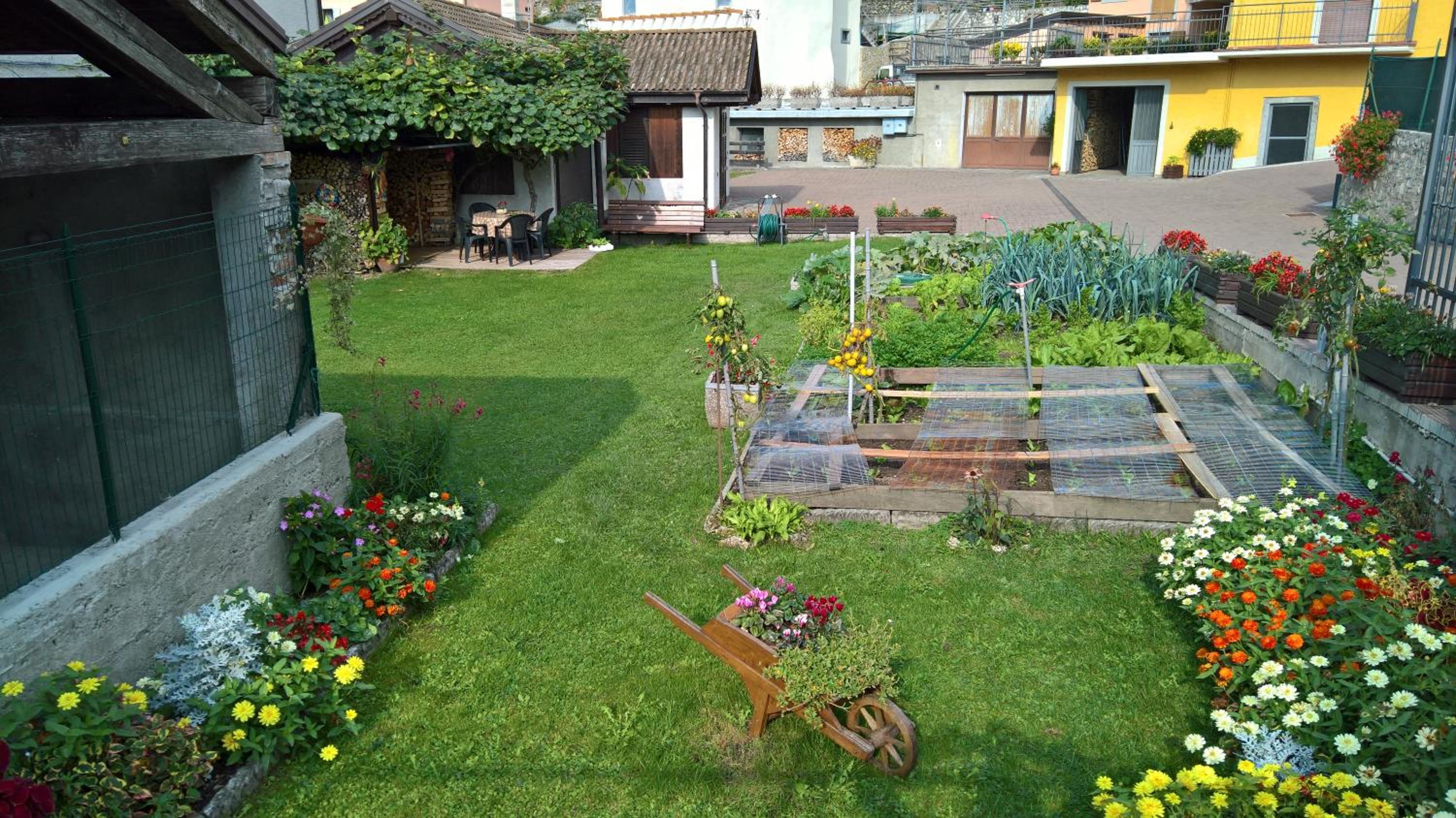 Photo 24