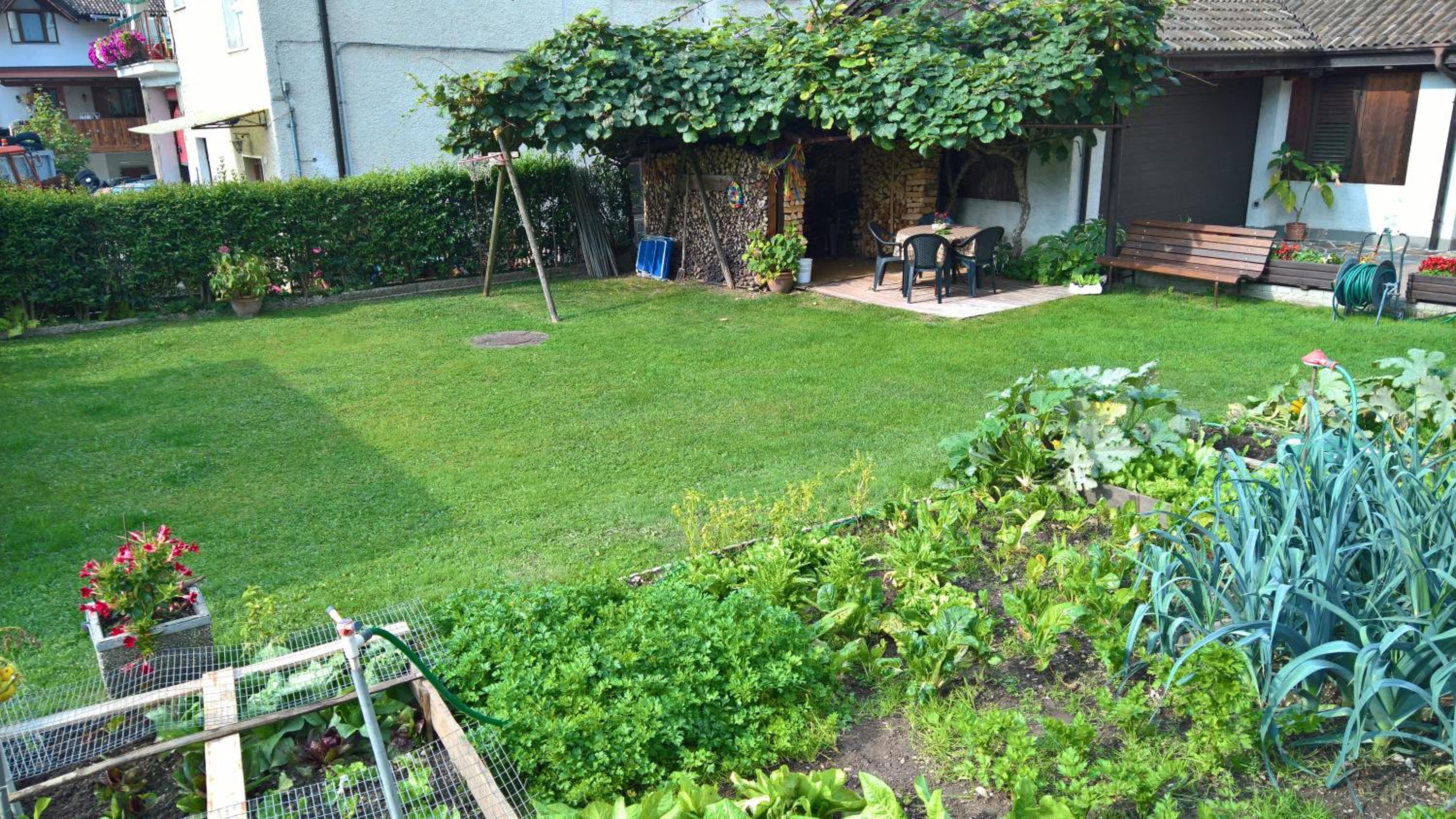 Photo 25