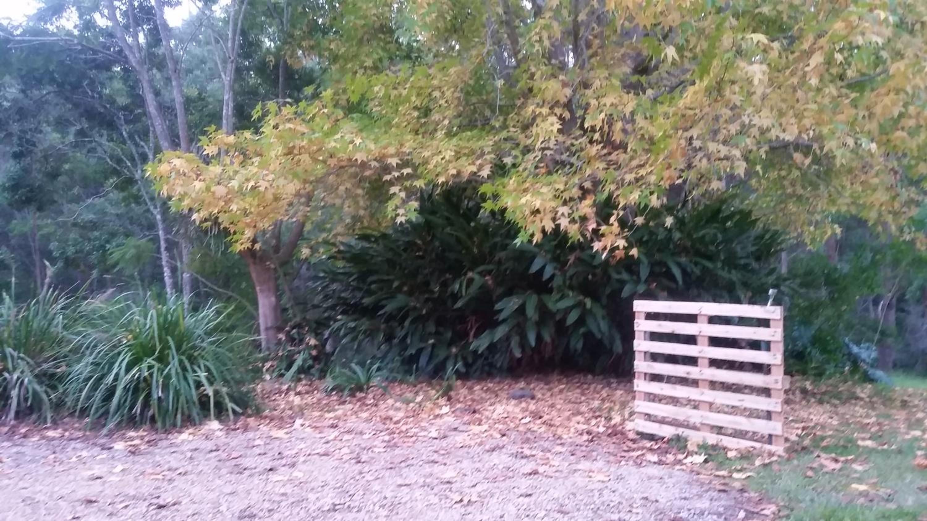 Forest view bungalow