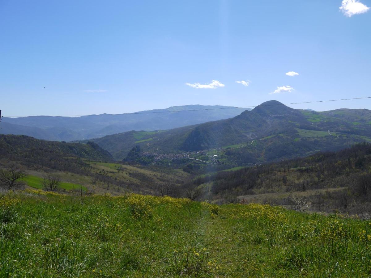 Photo 29