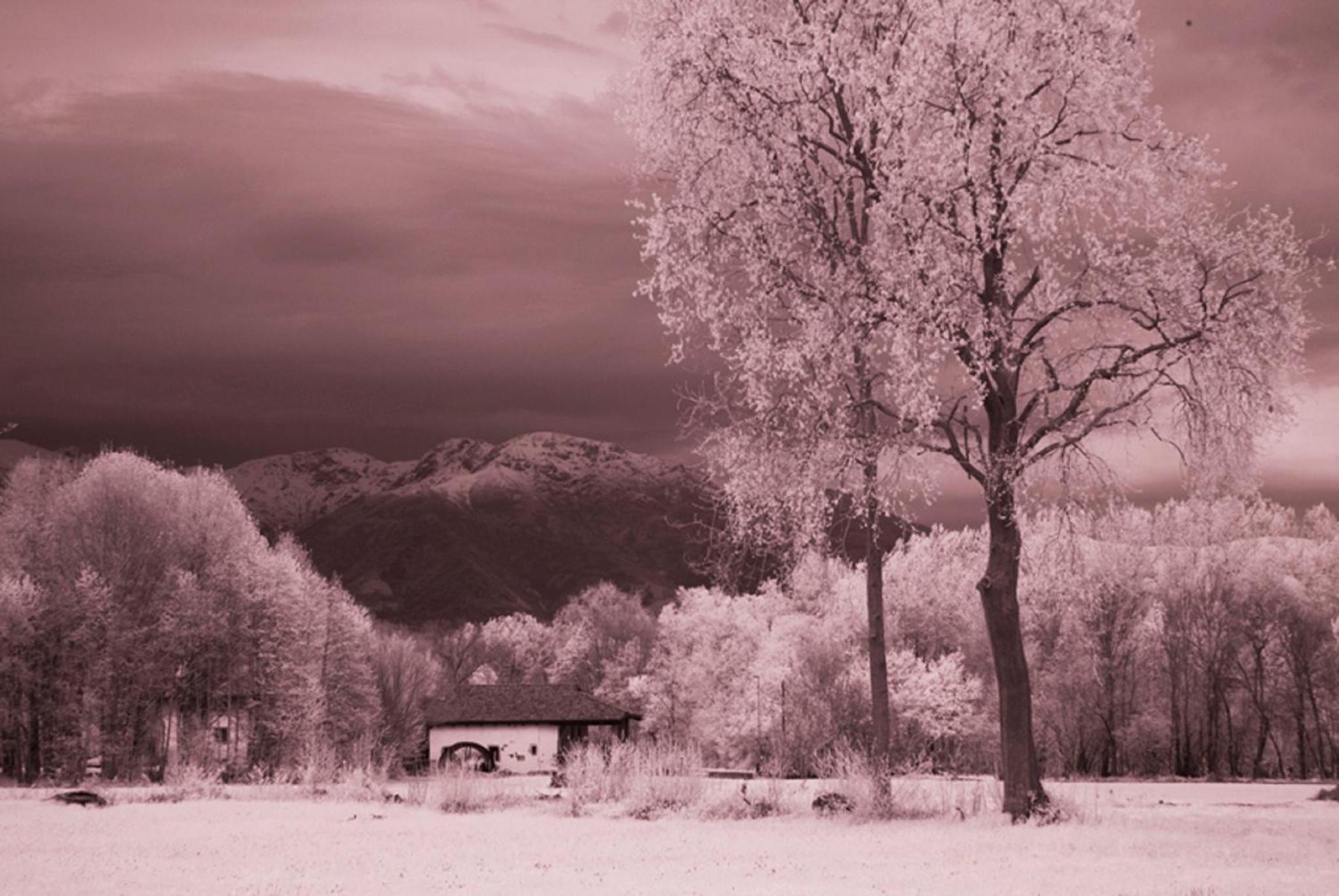 Il Vecchio Mulino Di Bairo
