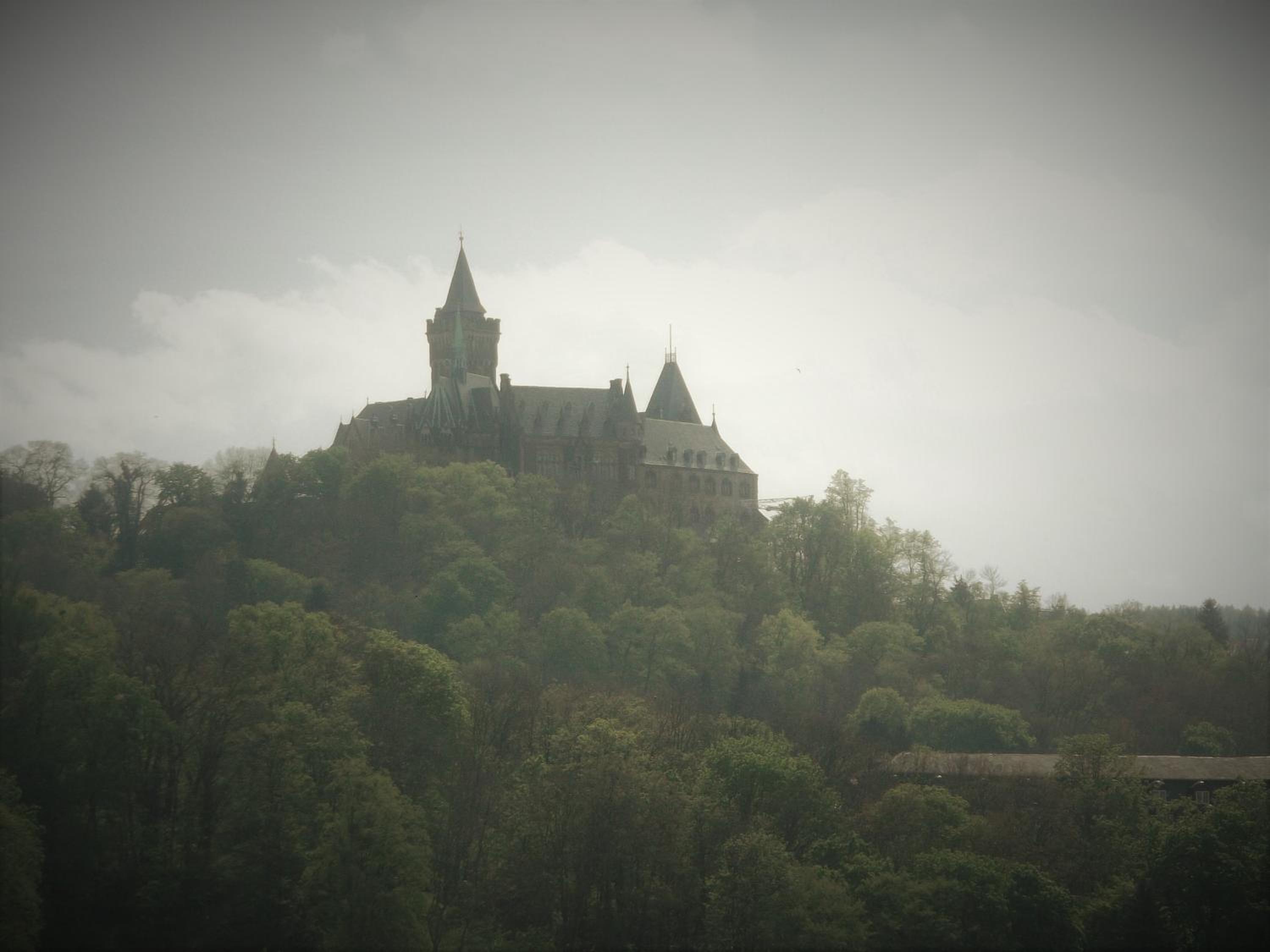 Photo 40
