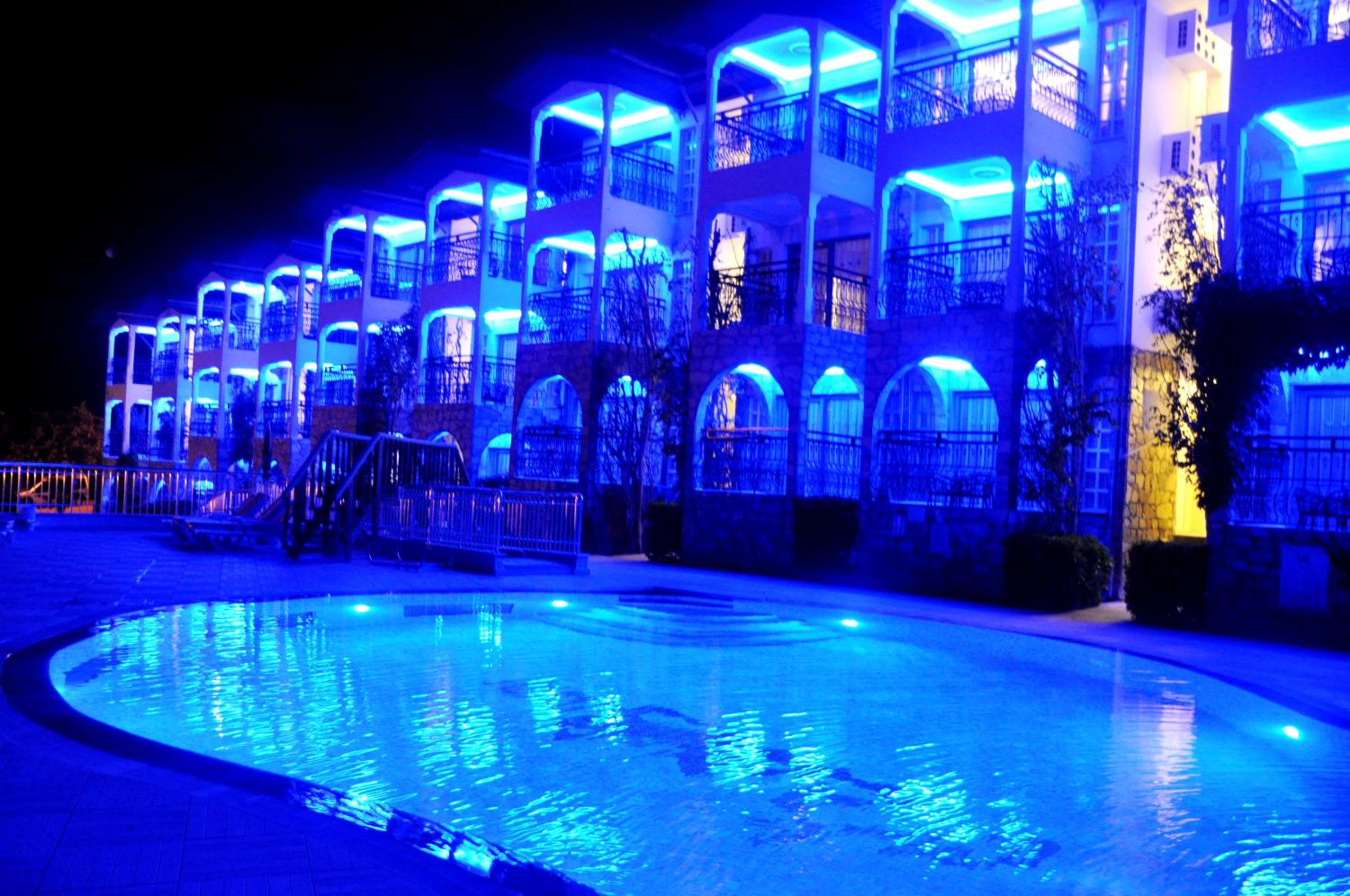 Club Aquarium - Image 33