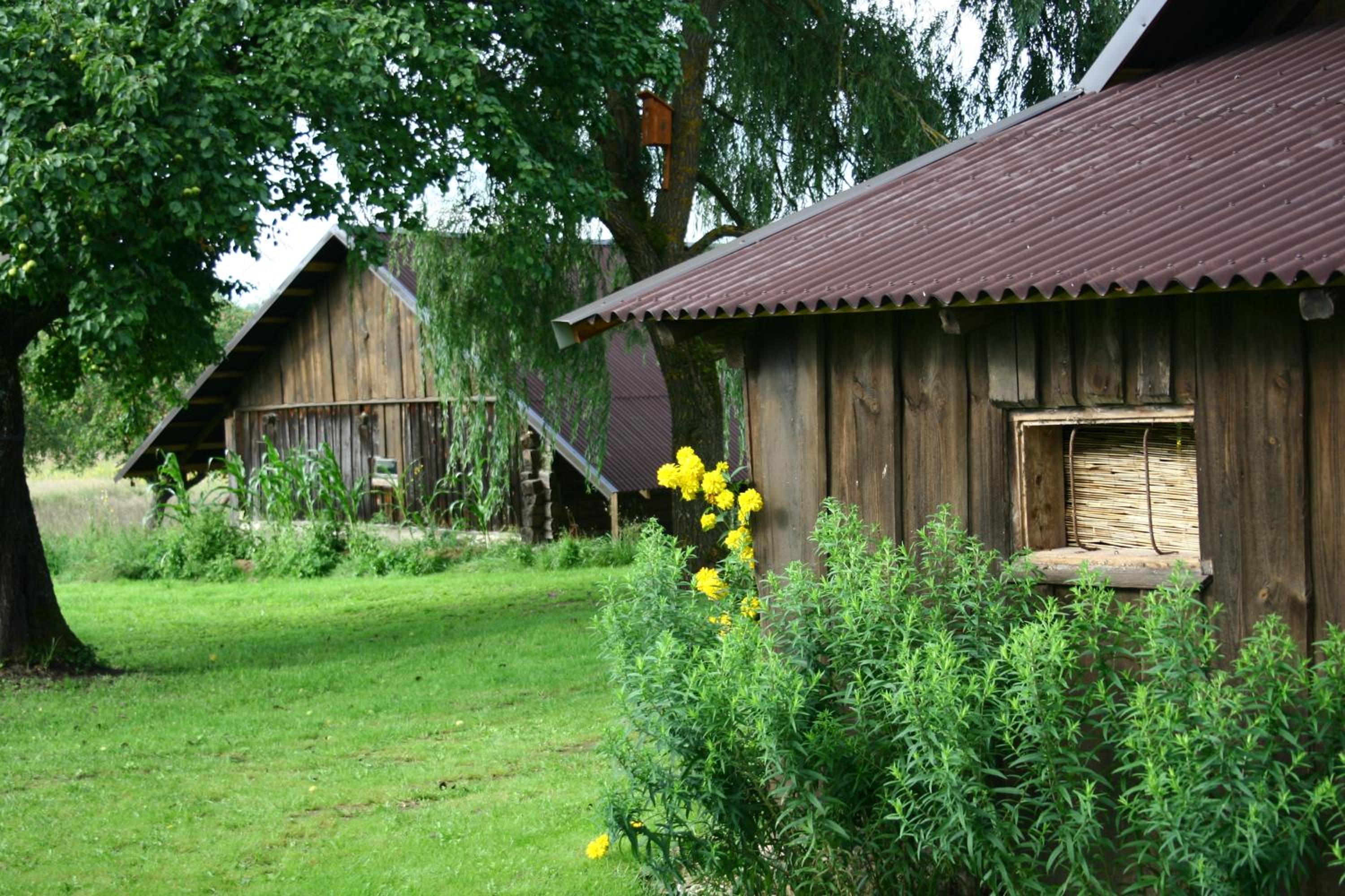 Photo 48