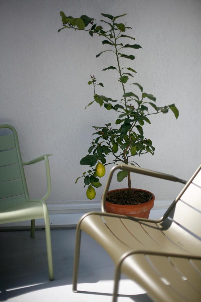 Montpellier Vacations - Les 4 etoiles - Property Image 4