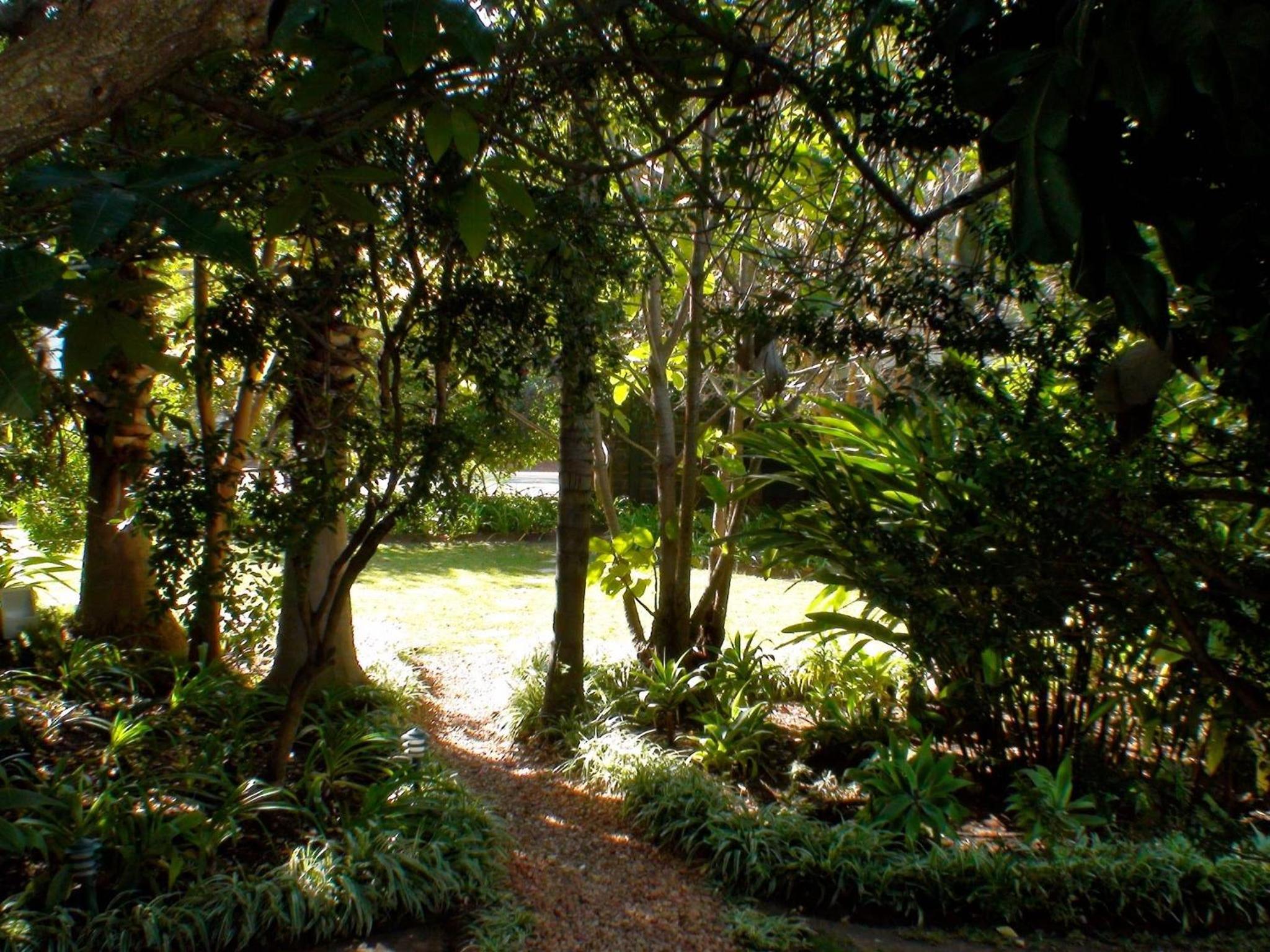 Photo 41