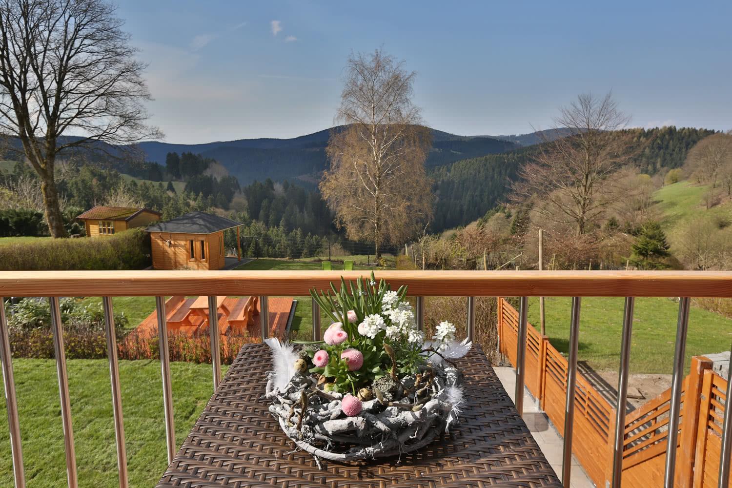 Landhäuser Bergwiese - Ferienhaus Höhenblick view 4