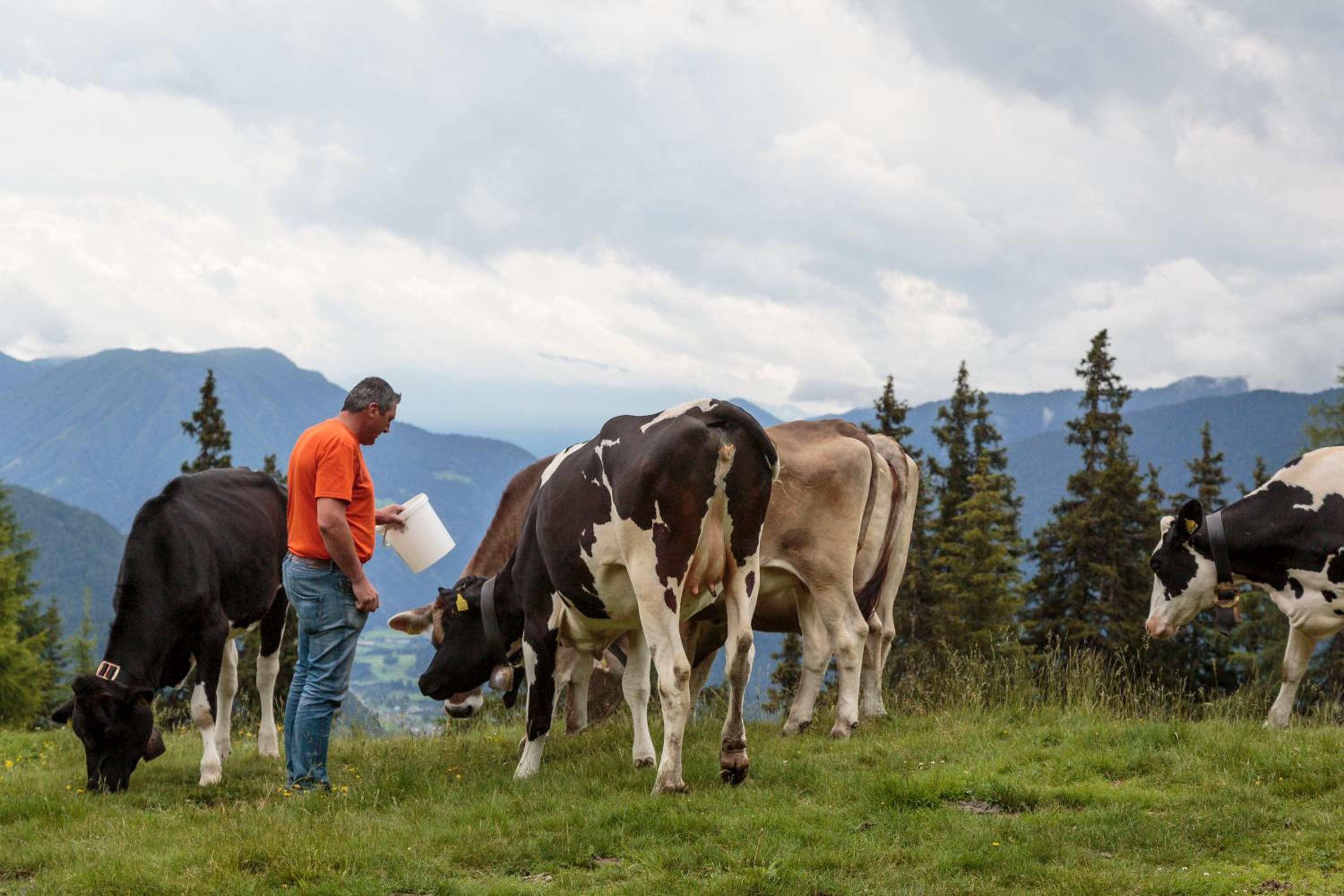 Photo 27