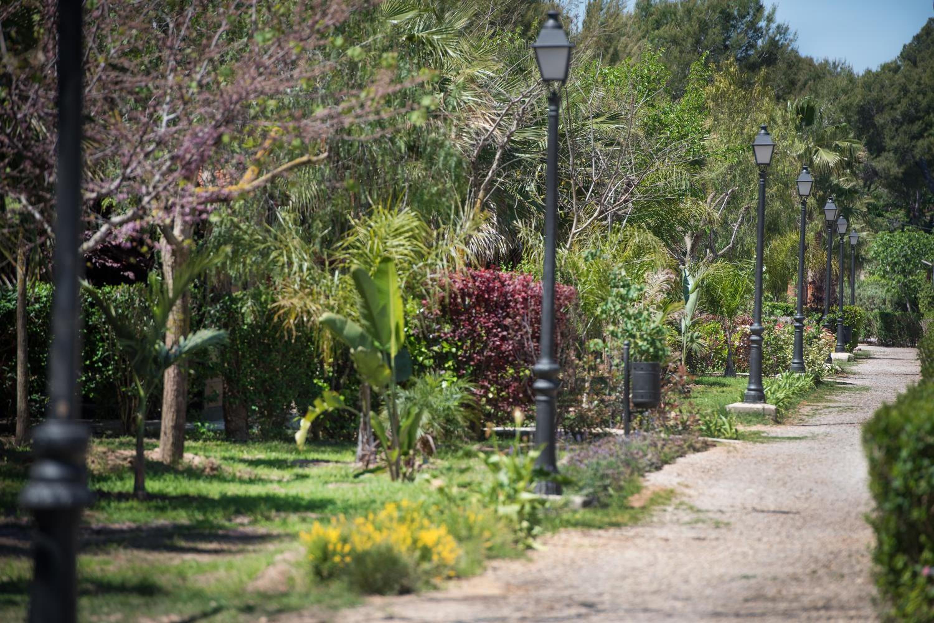 Camping Caledonia