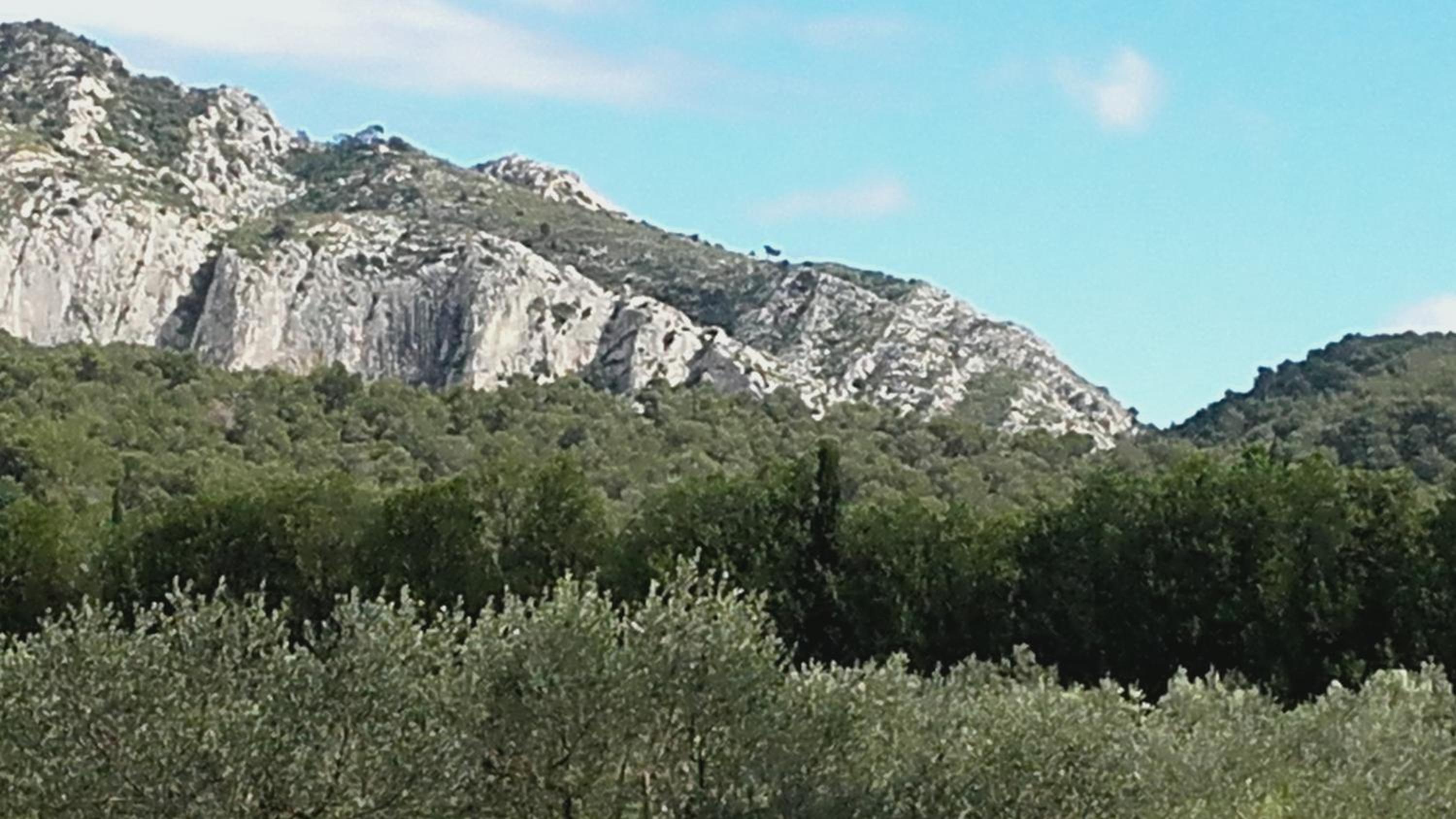 Aubade en Luberon
