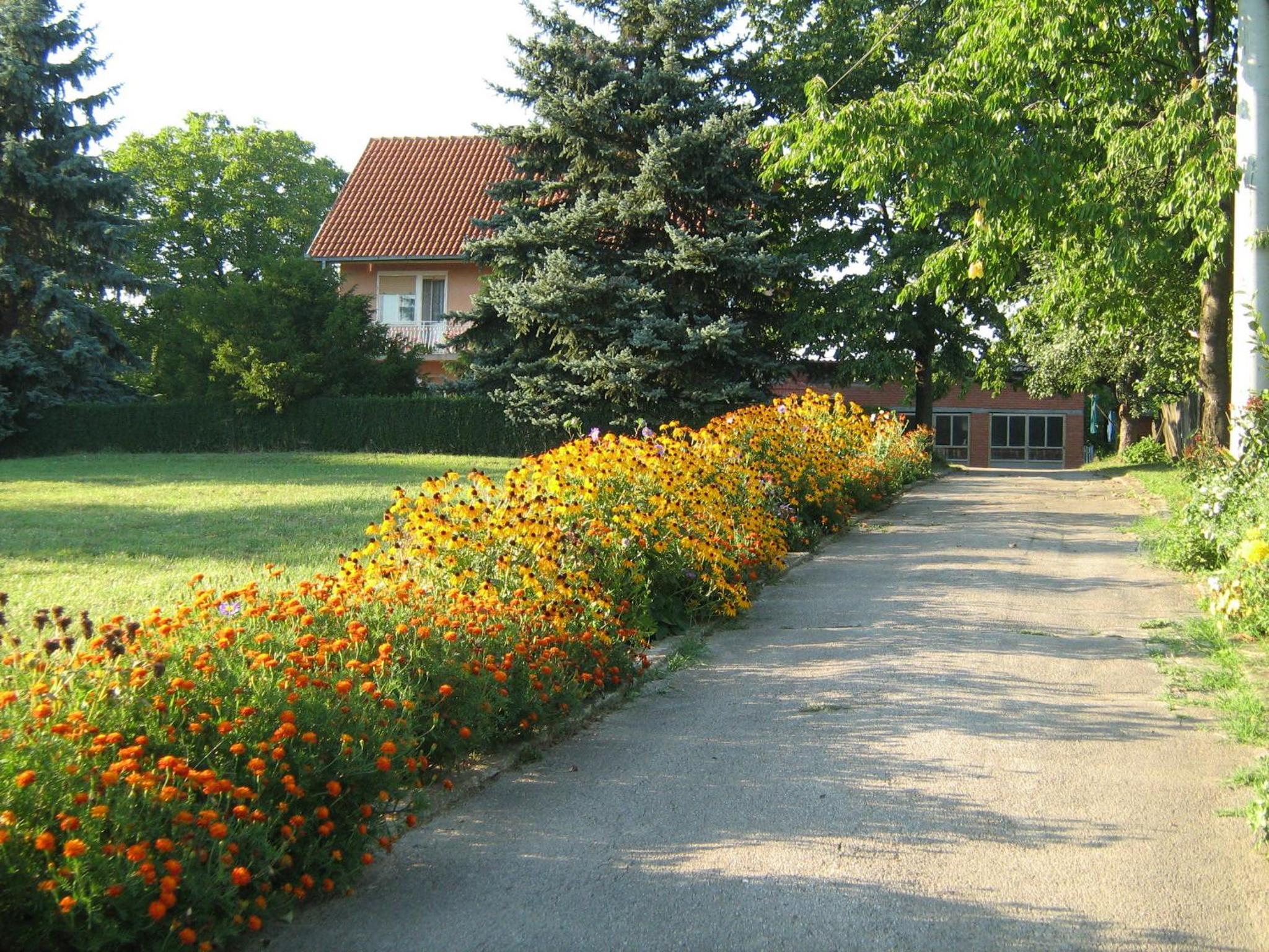 Photo 34