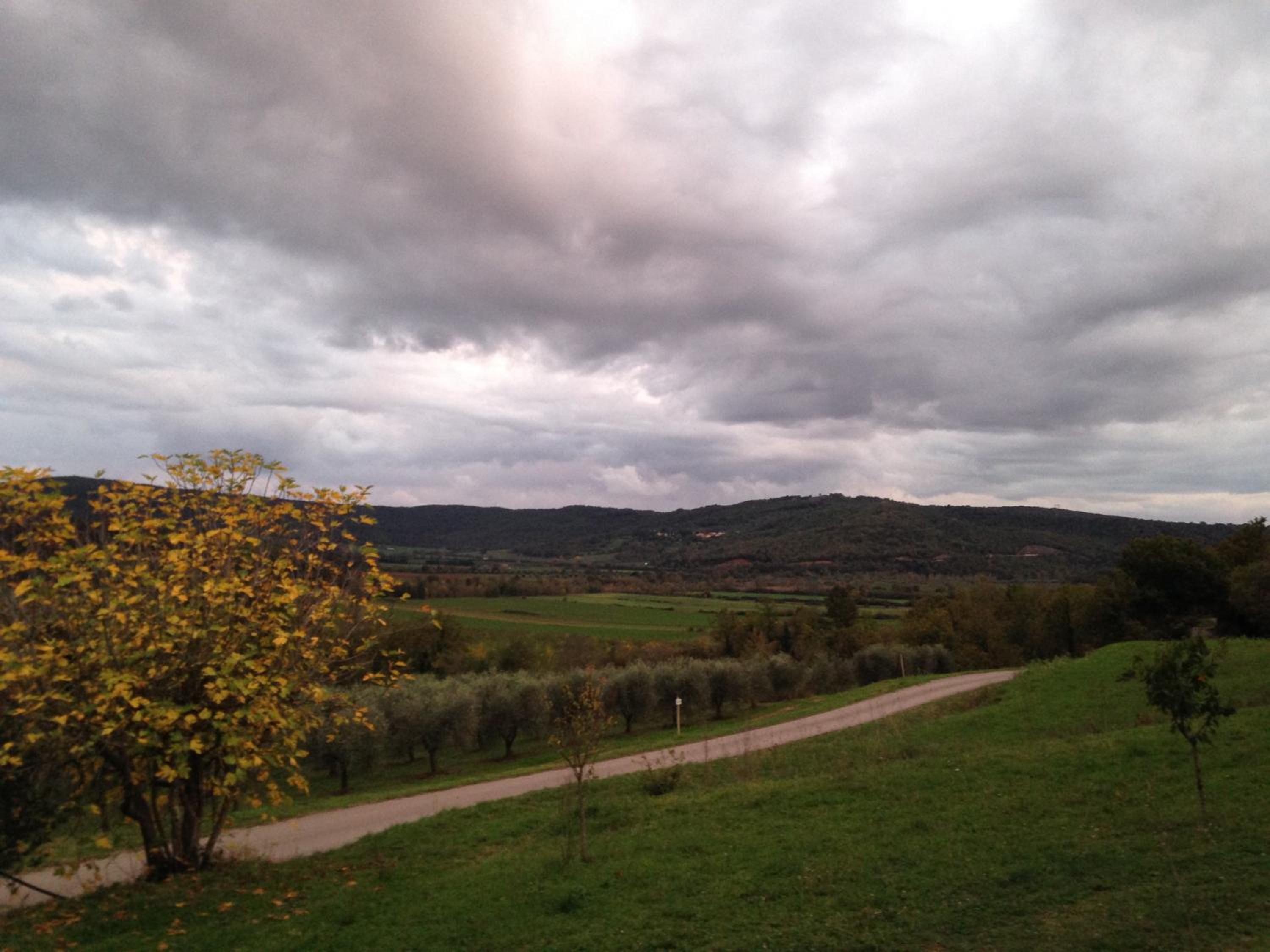 Photo 45